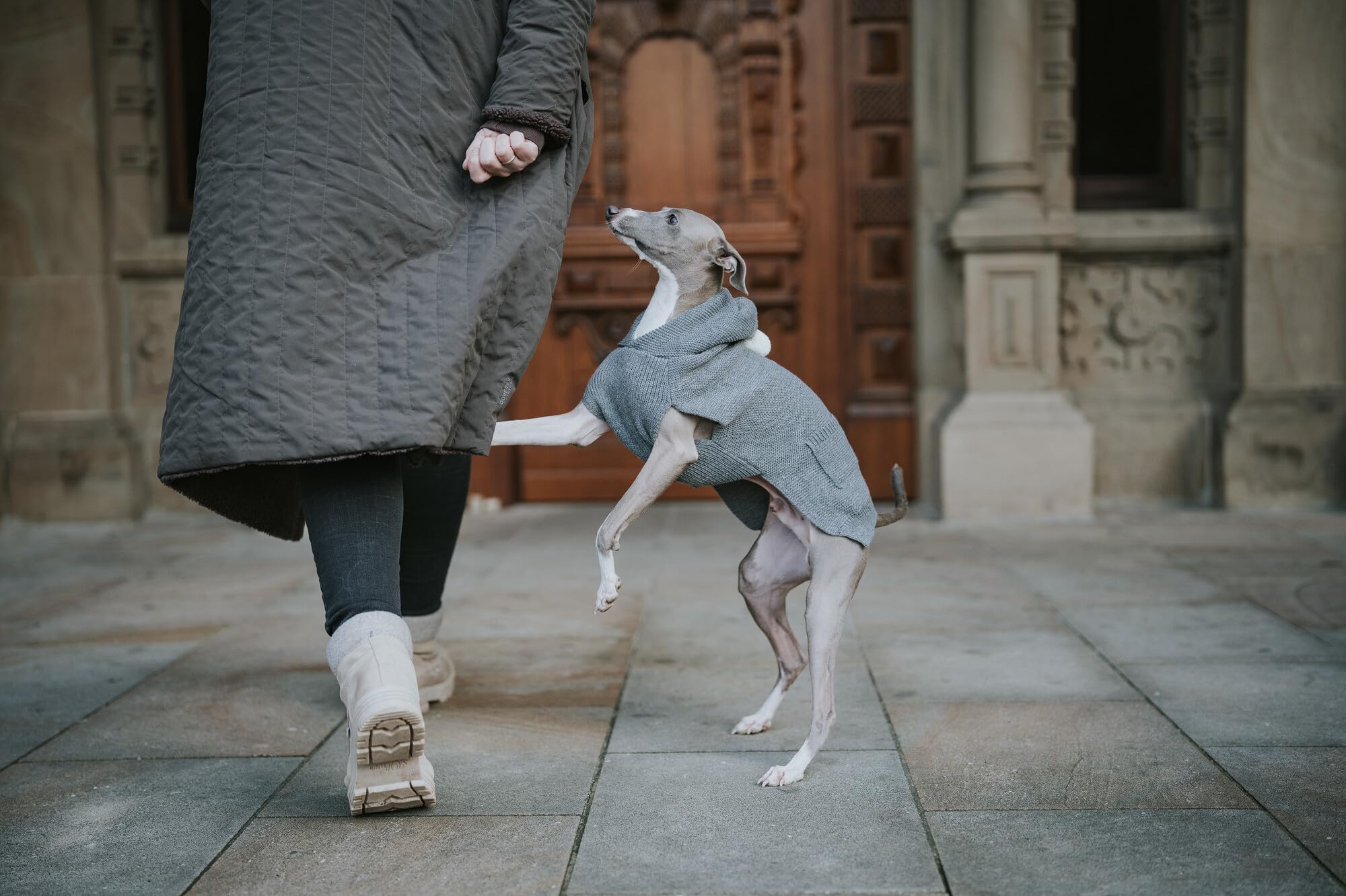 hunter-r-gla-hundepullover-leichter-strickpullover-mit-pl-sch-kapuze-und-taschen image 6