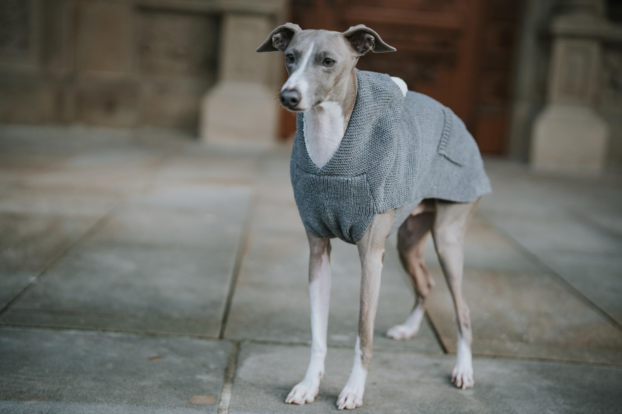 hunter-r-gla-hundepullover-leichter-strickpullover-mit-pl-sch-kapuze-und-taschen image 5