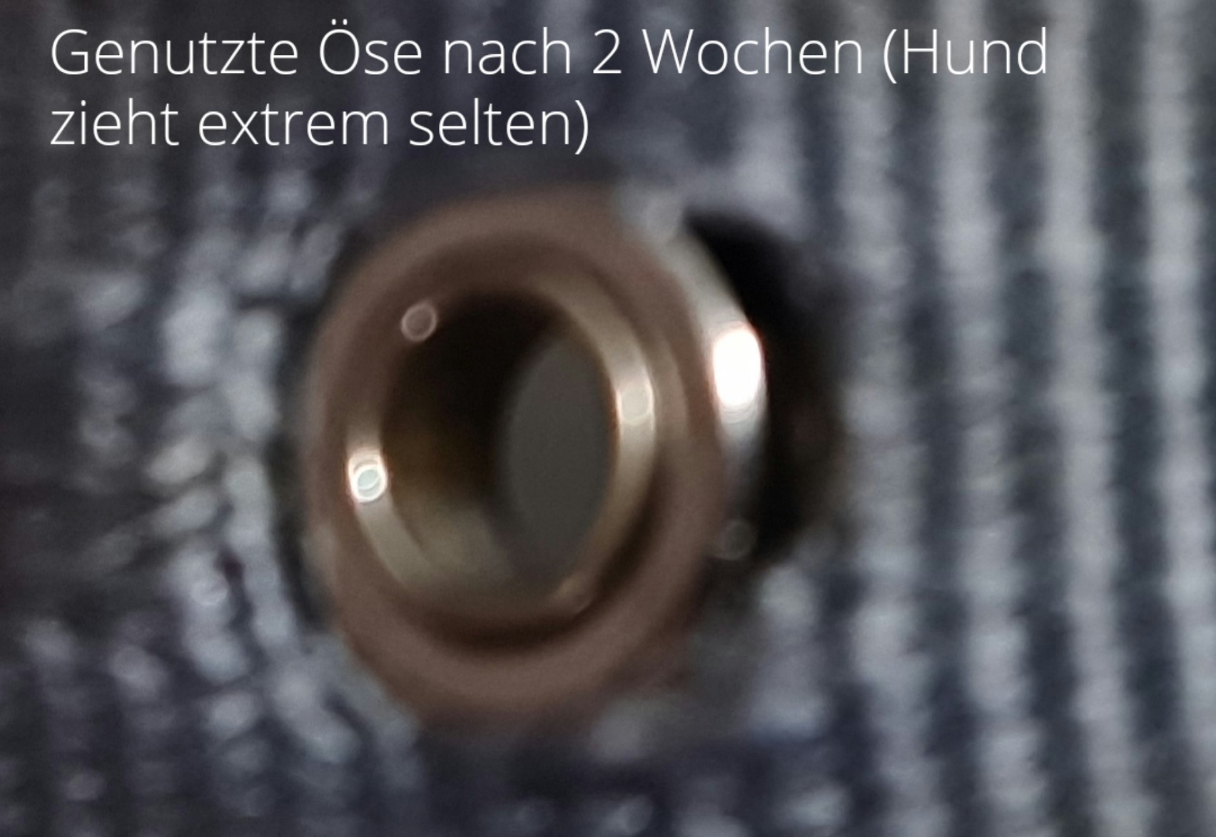 Gut, aber riecht anfangs stark