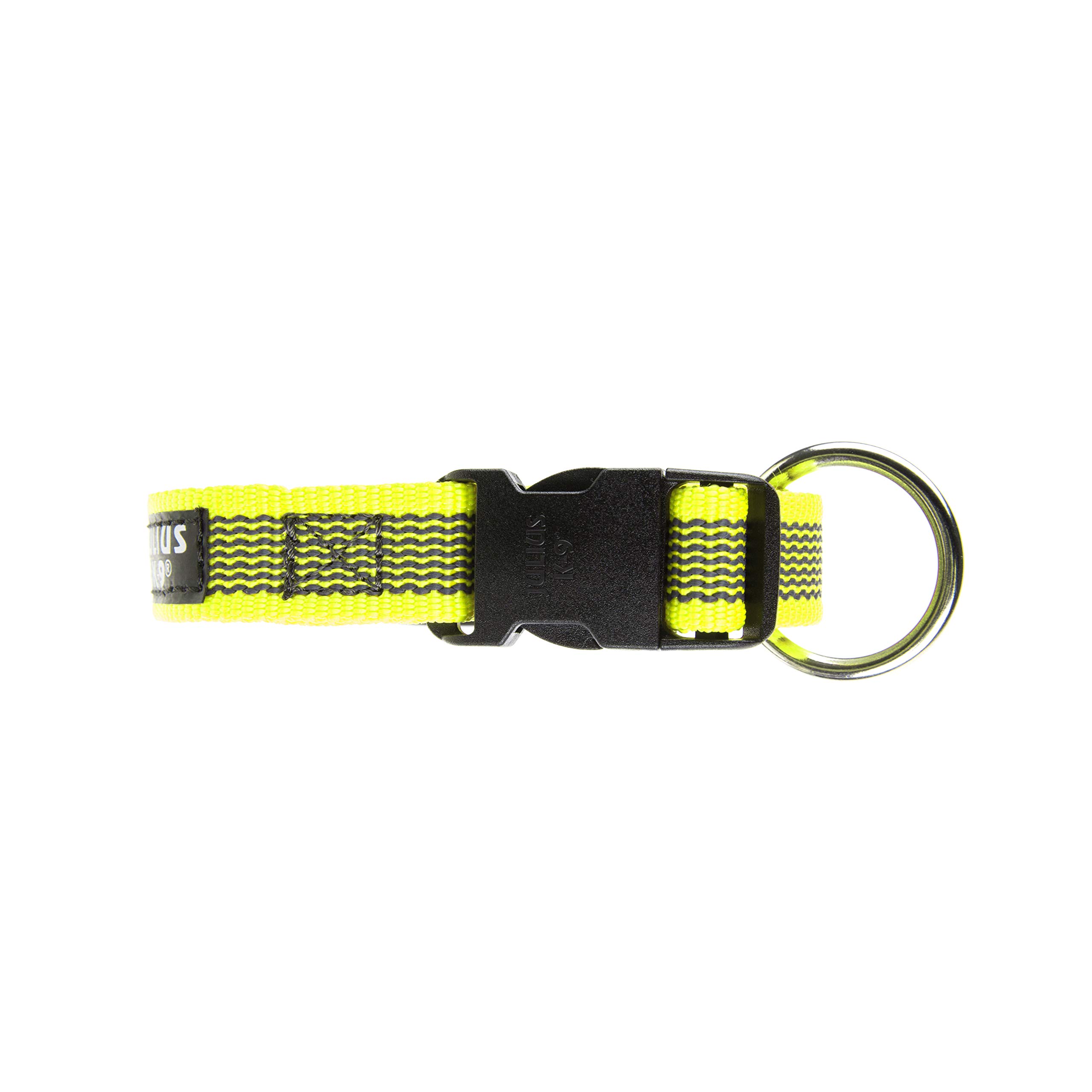 julius-k9-color-gray-halsband-220cg-ne-20-mm-x-27-42-cm-neon-grau-robustes-nylon image 6