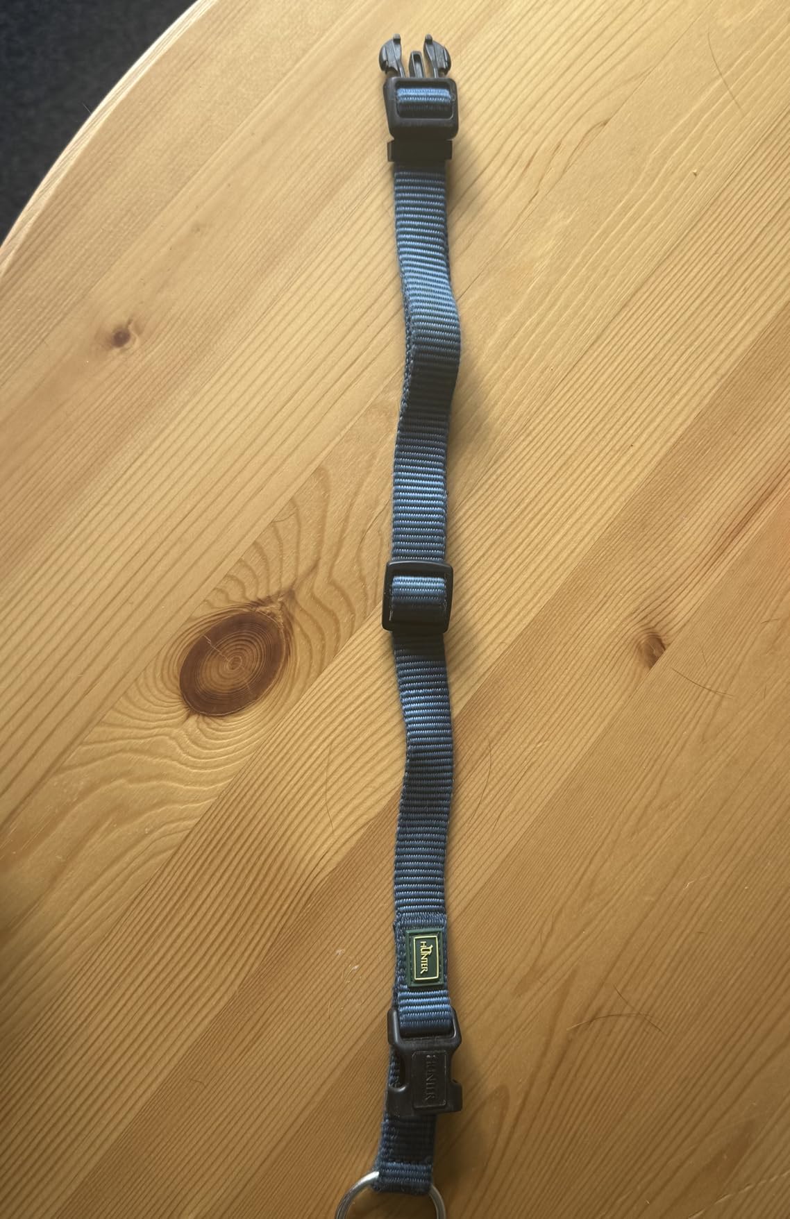 Perfekt für unseren kleinen Jack Russell