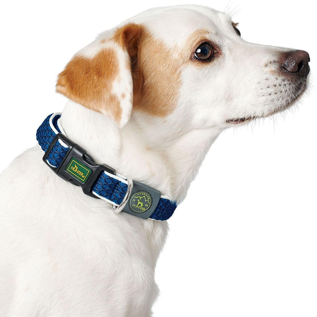 hunter-halsung-hilo-vario-basic-blau-gr-e-s-m-atmungsaktives-3d-mesh-halsband-mi image 2