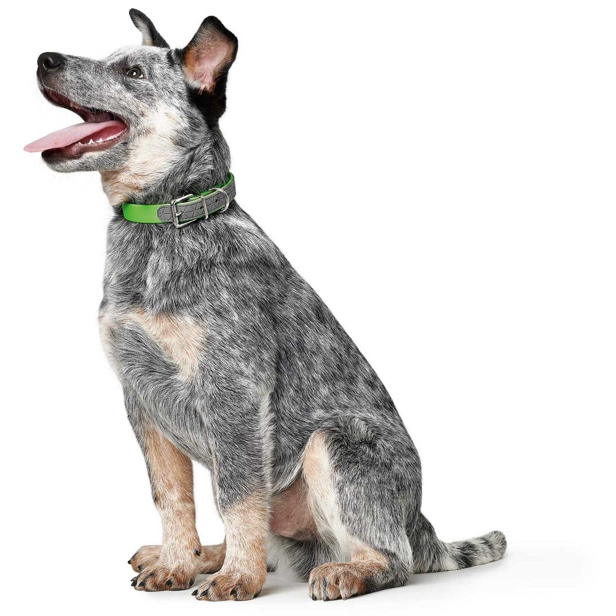 hunter-convenience-comfort-hundehalsband-mit-neopren-polsterung-witterungsbest-n image 3