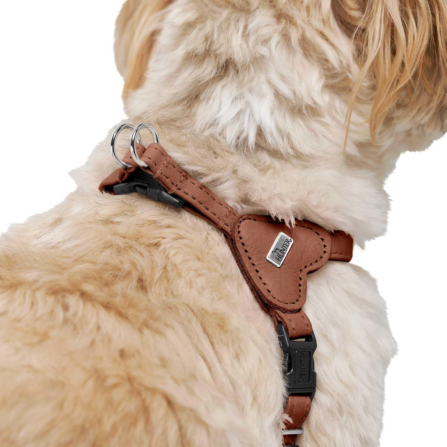 hunter-hundegeschirr-soho-mini-rindsleder-cognac-f-r-kleine-hunde-welpen-xxs-xs- image 5