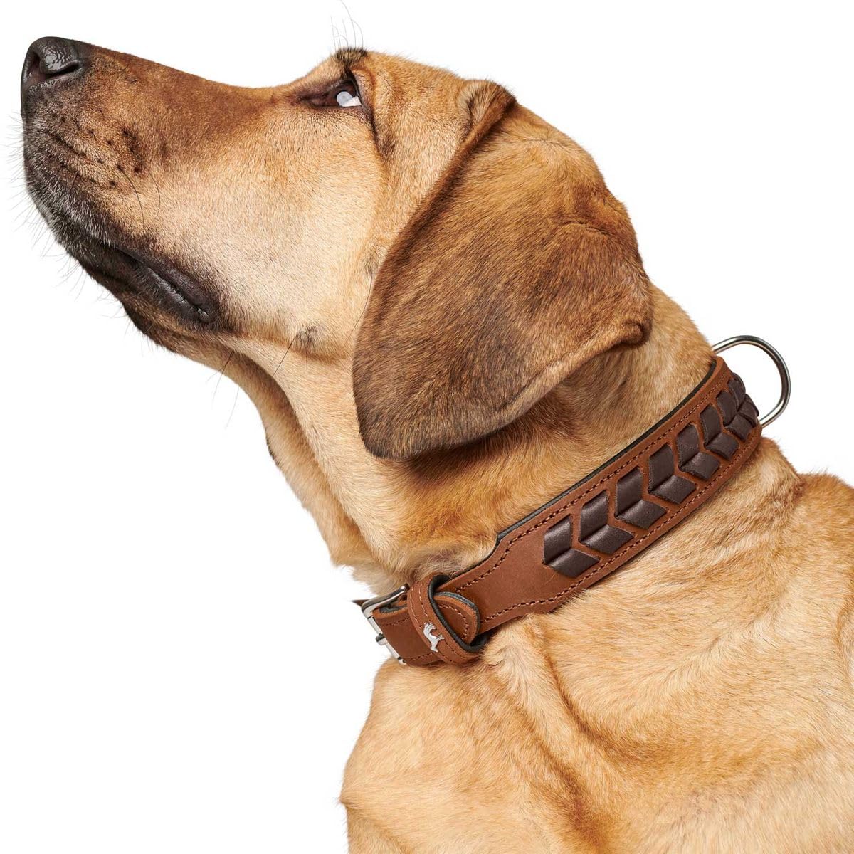 hunter-el-paso-hundehalsband-leder-geschmeidig-handgeflochten-cognac-schwarz-gr- image 6