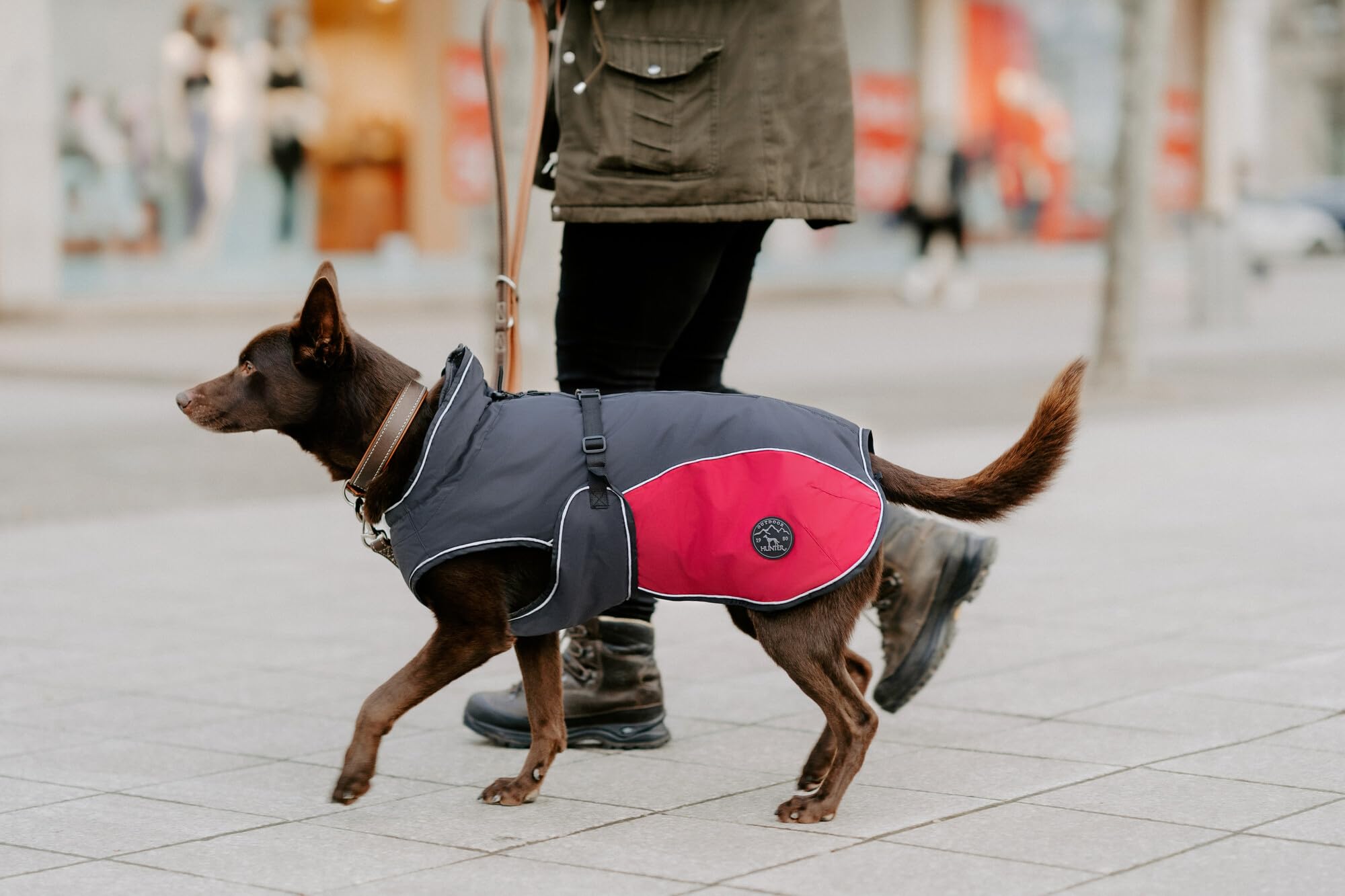 hunter-hundemantel-uppsala-allrounder-gr-40-2-in-1-wasser-und-windabweisend-mit- image 8