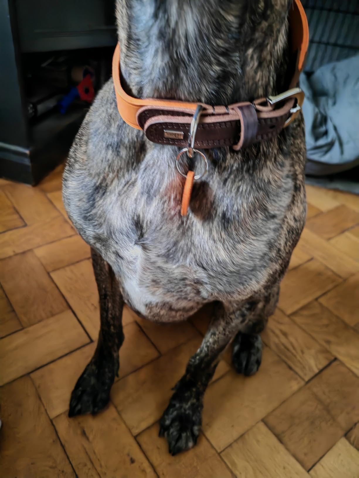 Zweites Halsband von HUNTER