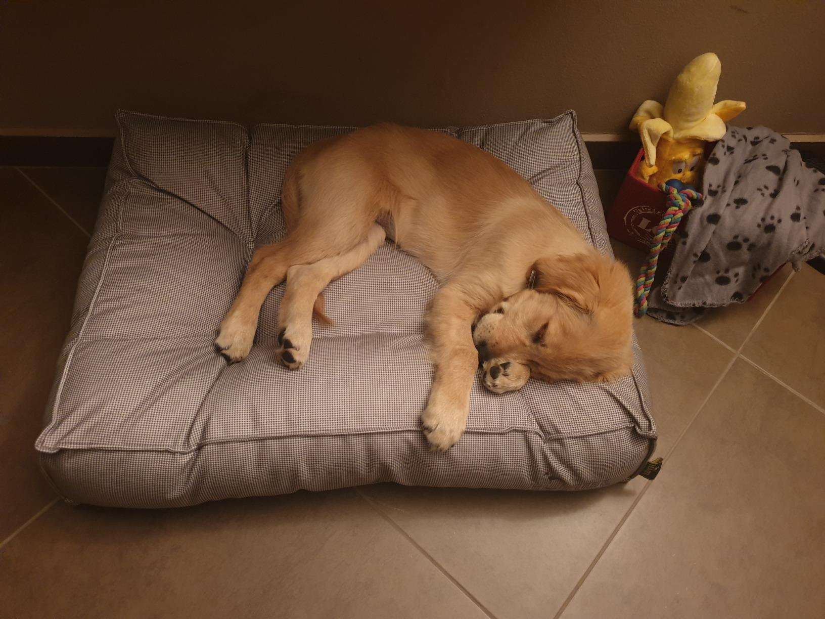 Wunderschönes Steppbett