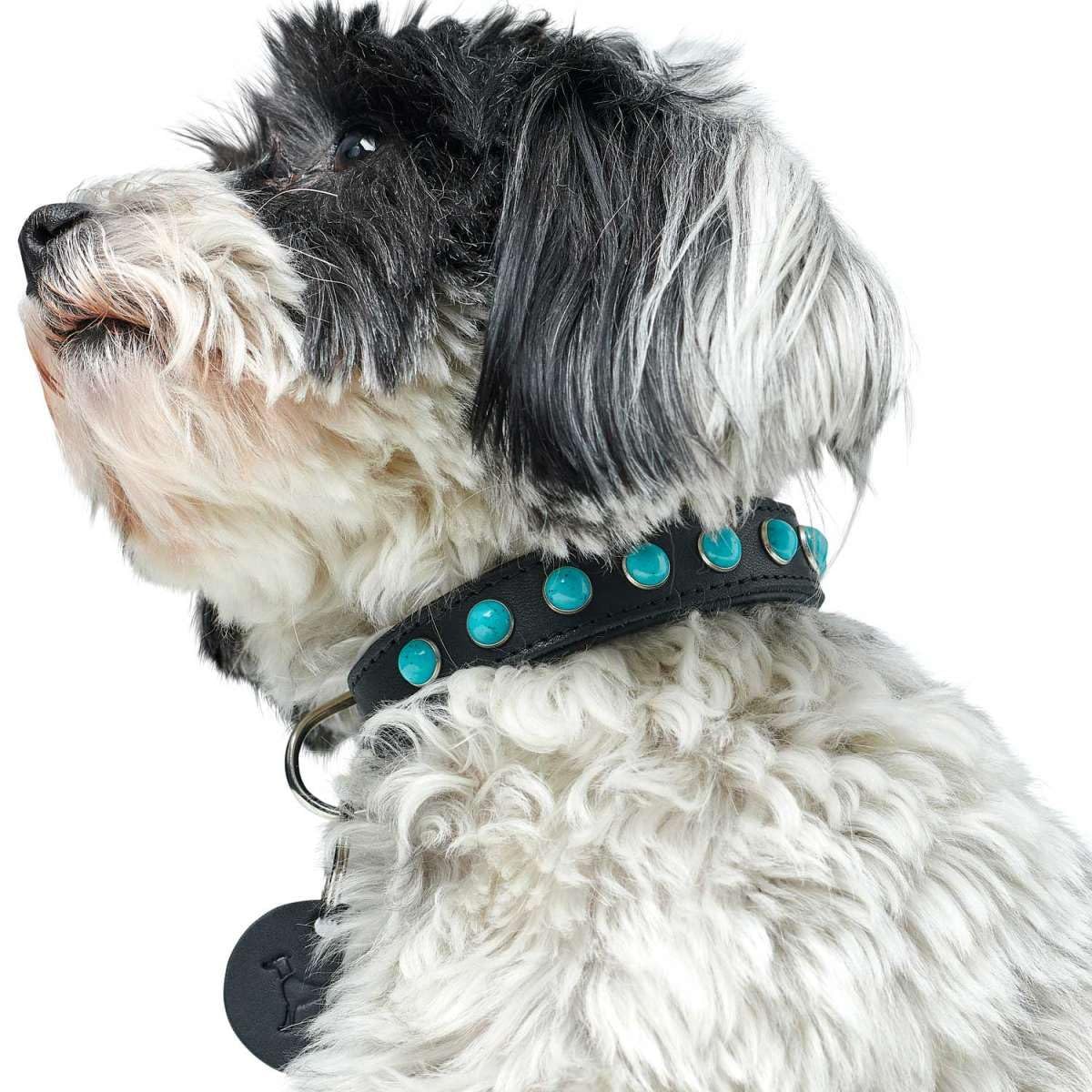hunter-halsband-modica-gr-e-25-schwarz-rindsleder-mit-nappaleder-und-t-rkisfarbe image 4