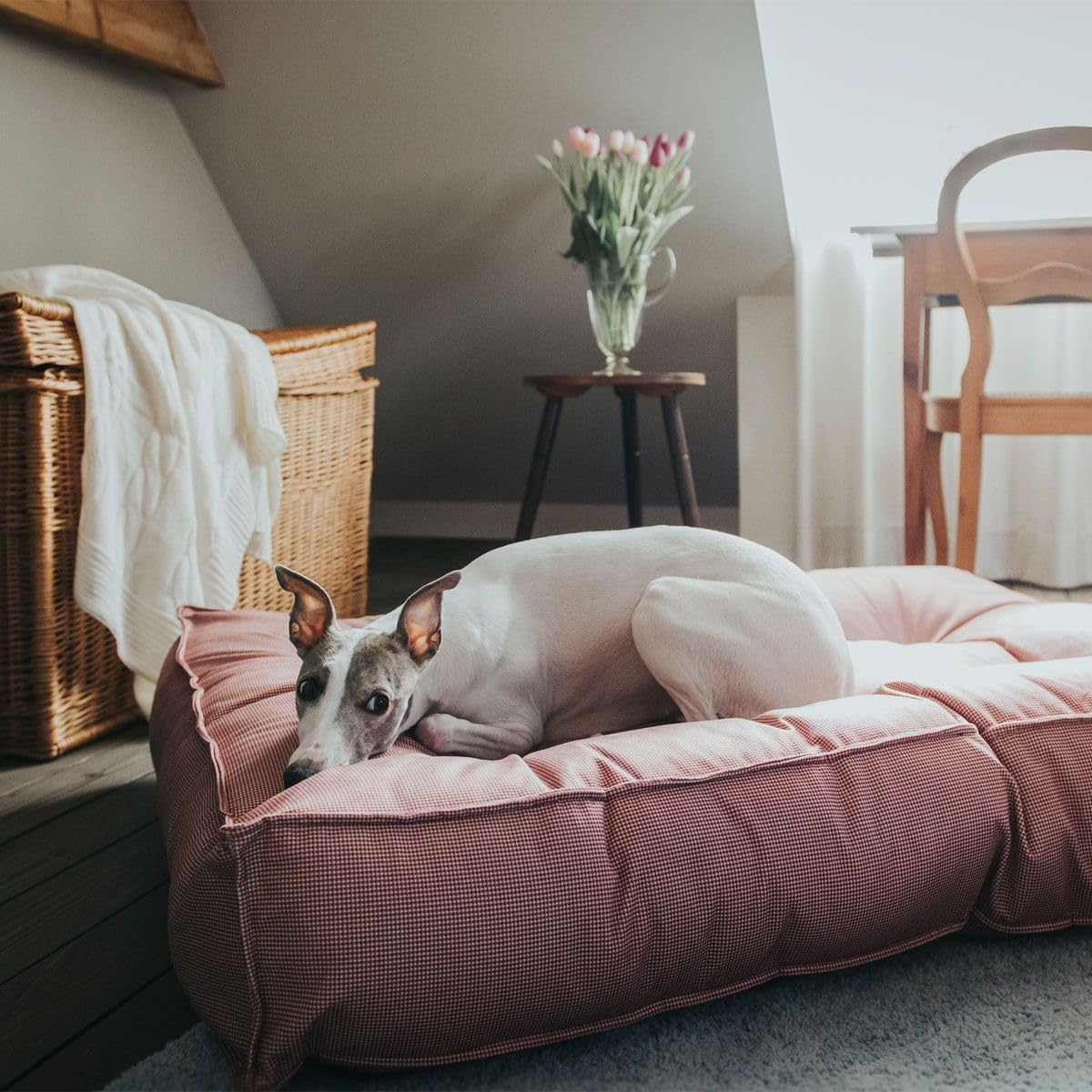 hunter-hundebett-lancaster-rot-gr-e-l-gem-tliches-hunde-steppbett-mit-pepita-des image 3