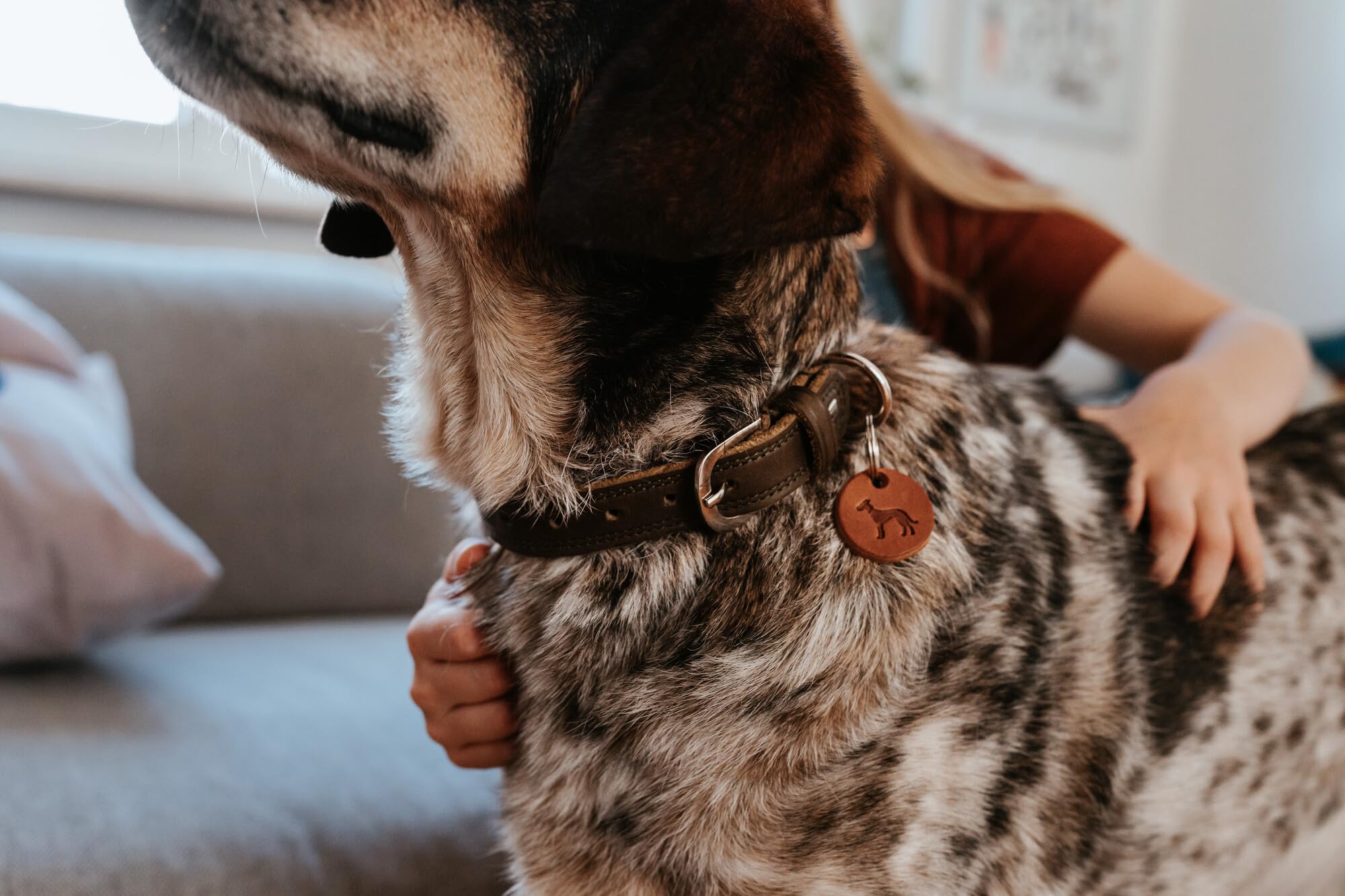 hunter-hundehalsband-lemvig-halsband-aus-weichem-strapazierf-higem-fettleder-cog image 6