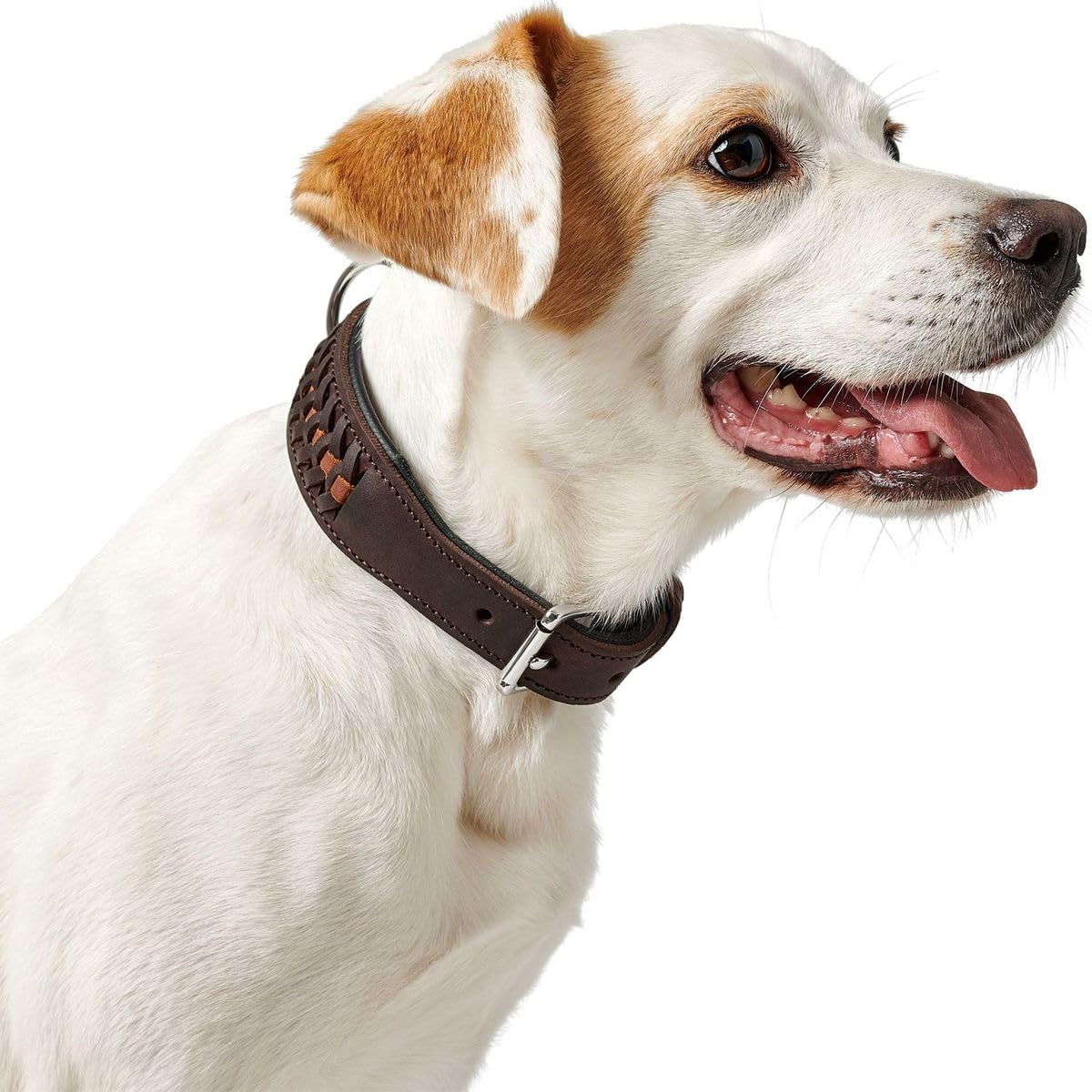 hunter-solid-education-67235-hb-hundehalsband-handgeflochtenes-rindsleder-made-i image 6