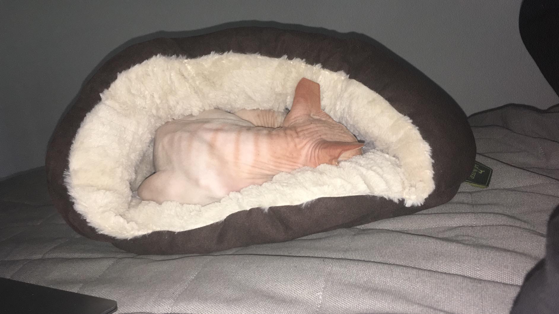 Endlich ein Versteck