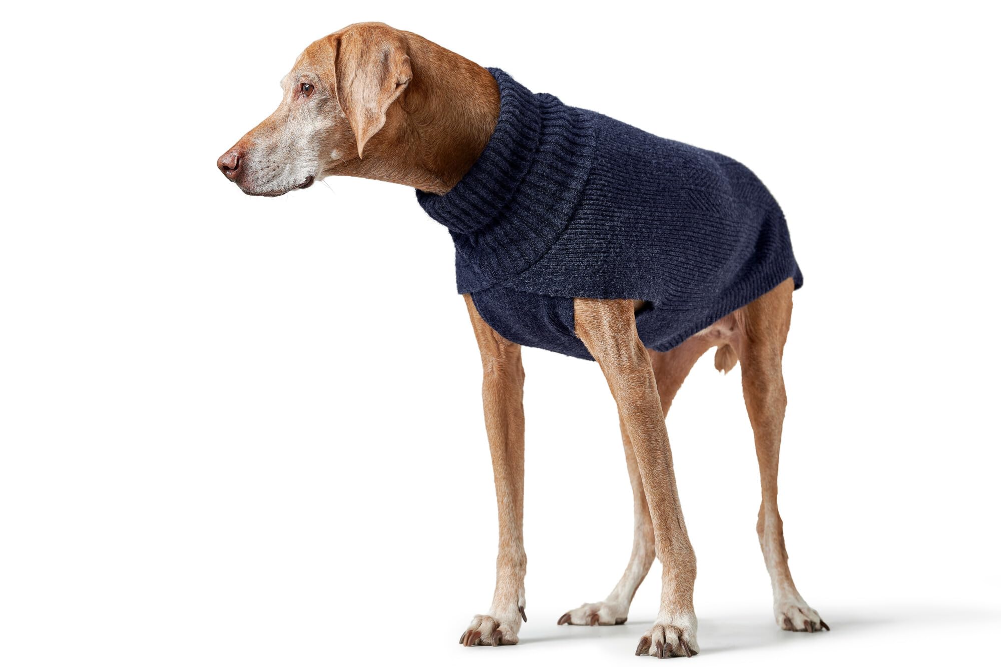 hunter-hundepullover-genf-gr-e-60-strickpullover-aus-recyceltem-polyester-umschl image 5