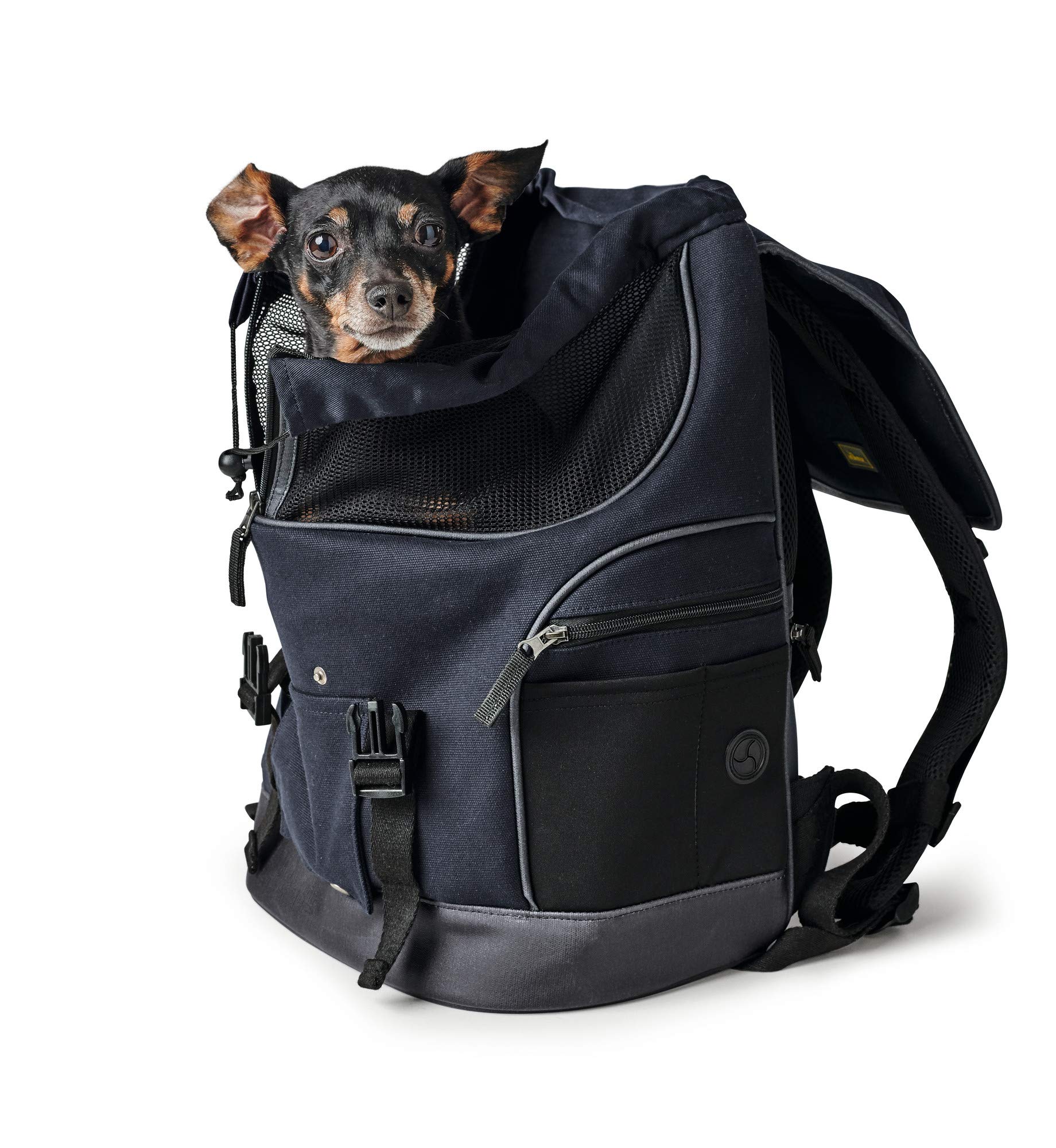hunter-madison-transportrucksack-f-r-hunde-und-katzen-35-x-20-x-42-cm-bis-5-kg-w image 2