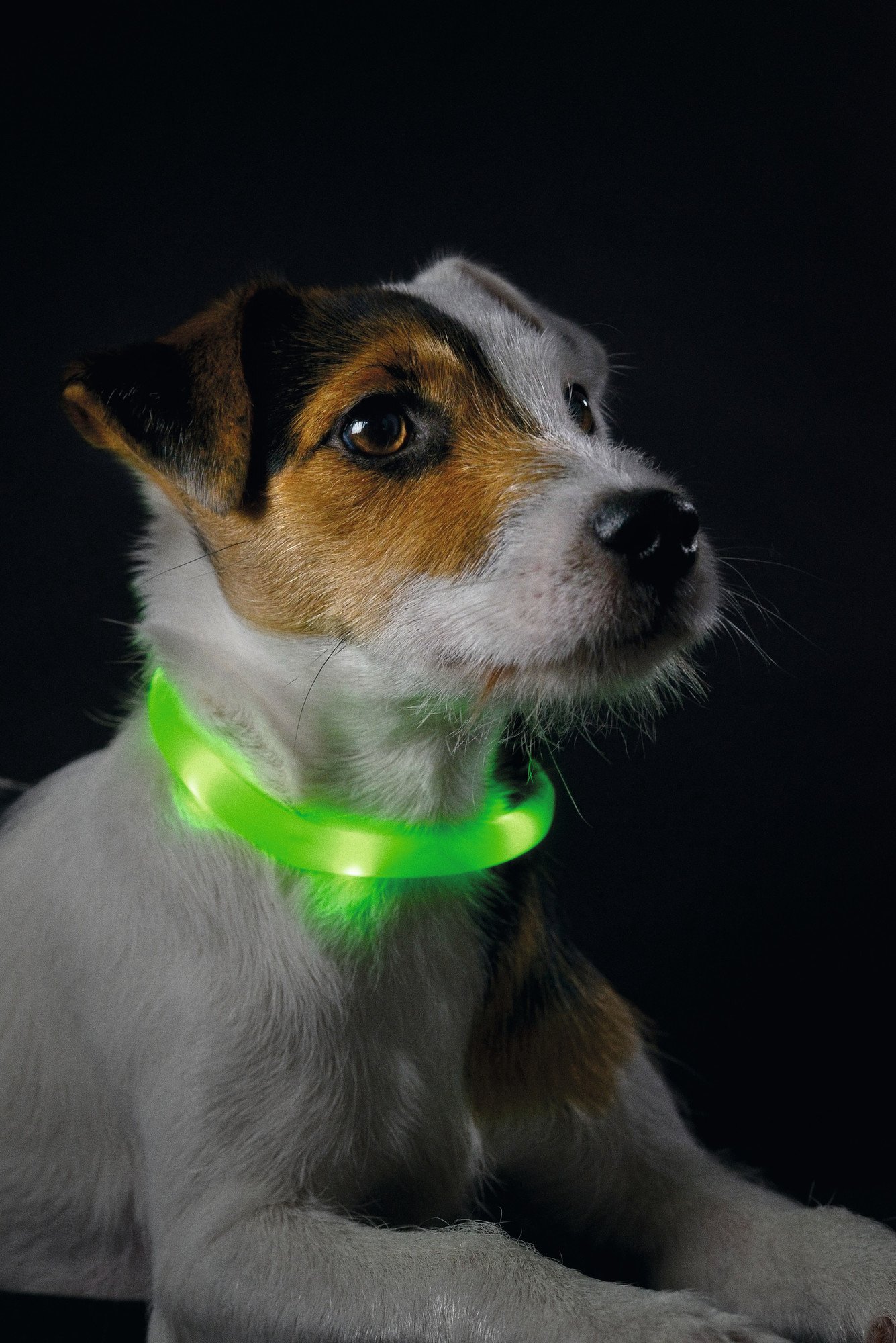 hunter-yukon-led-leuchtschlauch-silikon-wasserabweisend-bis-500-m-sichtbar-usb-a image 3