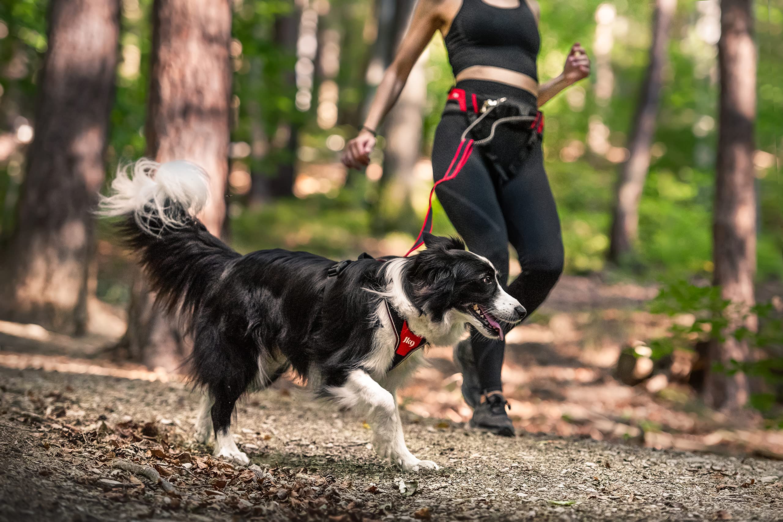 julius-k9-jk9-speed-laufgurt-rot-laufg-rtel-zum-laufen-und-wandern-mit-hund-mit- image 3