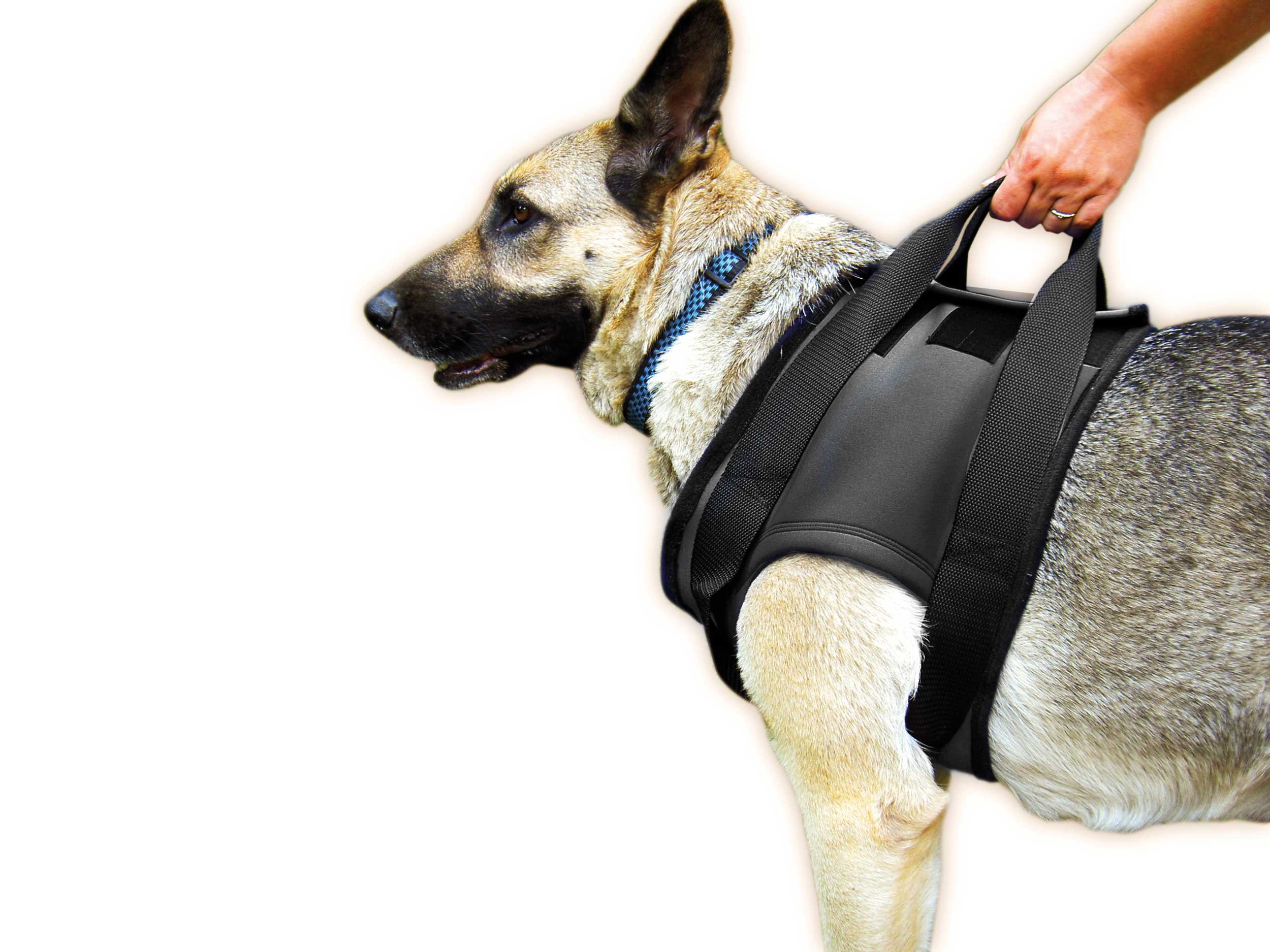 julius-k9-neopren-gehhilfe-geschirr-f-r-hunde-r-ckw-rtige-unterst-tzungshilfe-br image 1