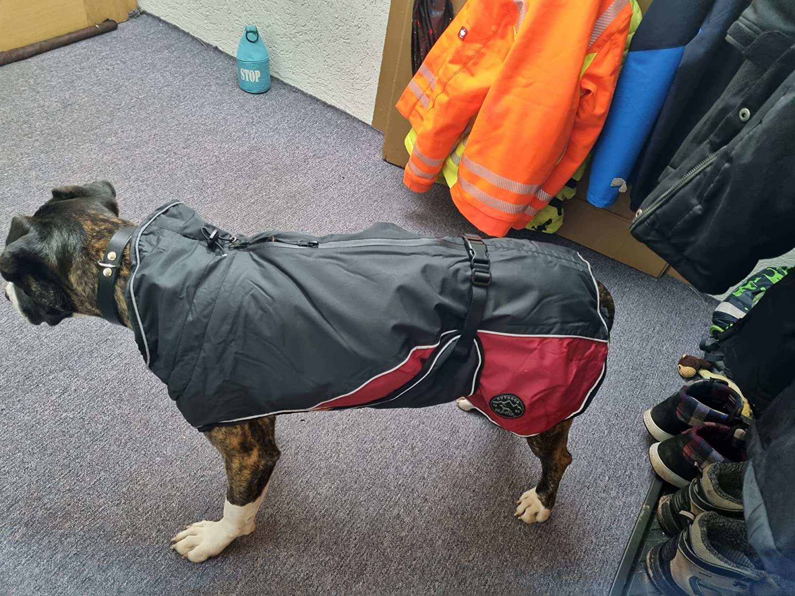 Auch für Doggen geeignet