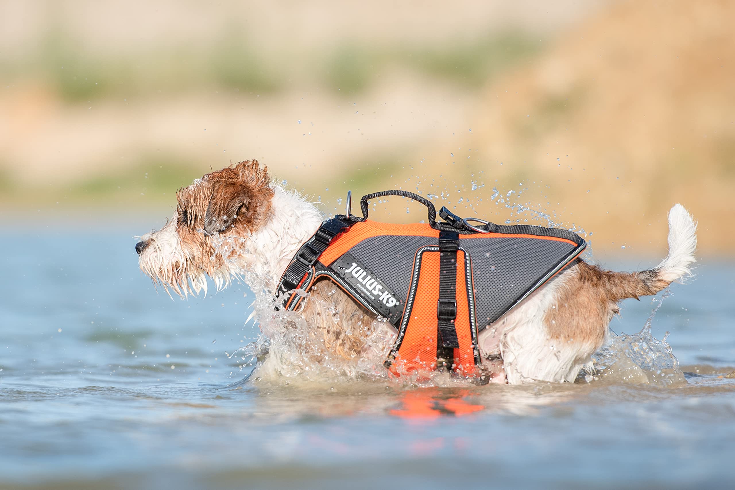julius-k9-multivest-4-in-1-hundegeschirr-gr-e-s-uv-orange-schwimm-k-hl-und-rehab image 4