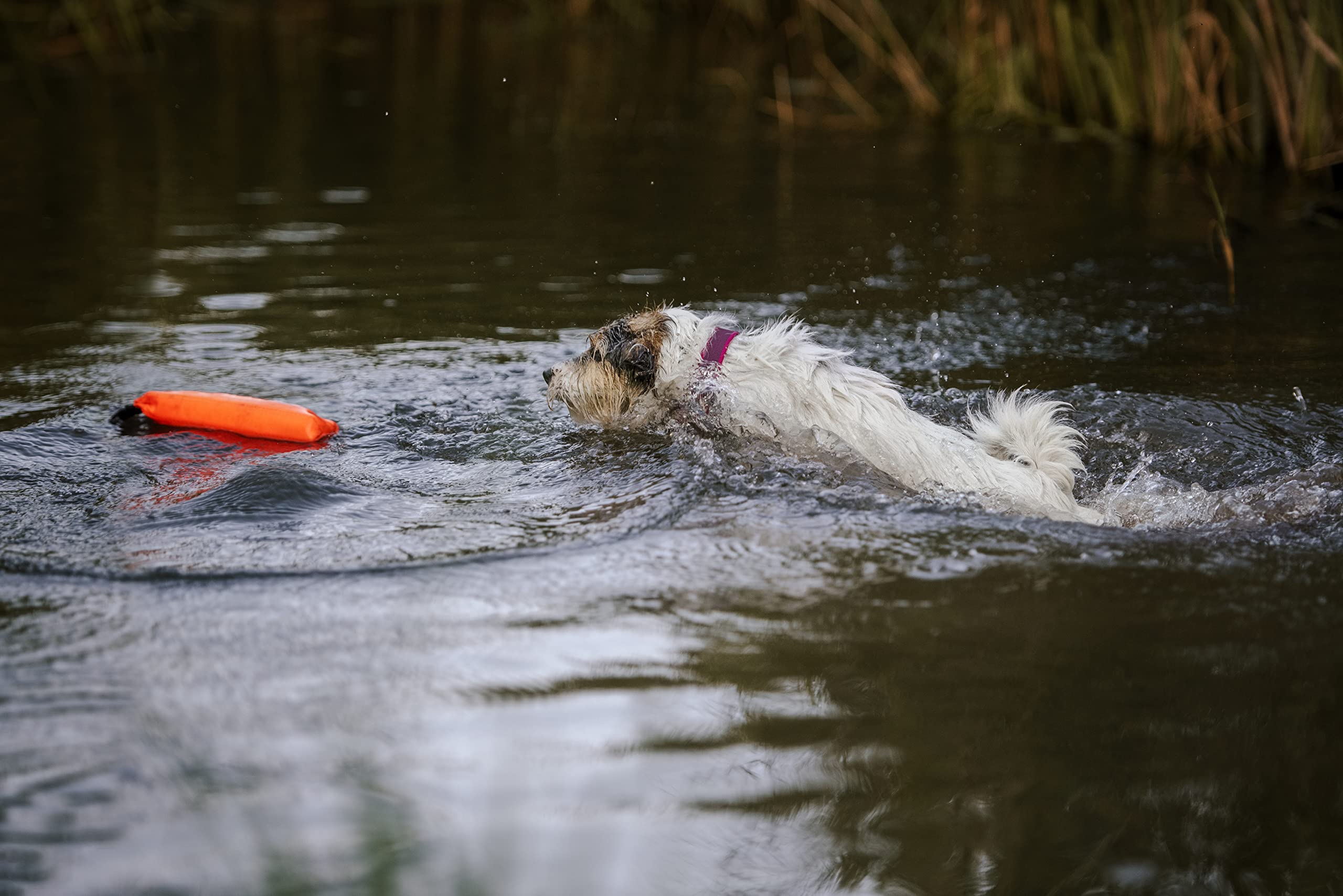 julius-k9-jk9-multidummy-mit-griff-uv-orange-trainings-dummy-zum-bef-llen-schwim image 6