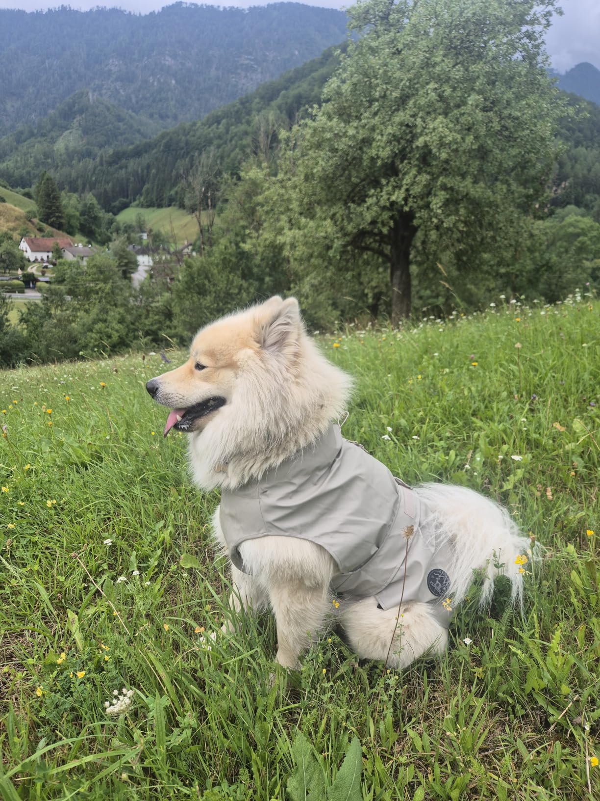 Perfekt für Herbst und Winter