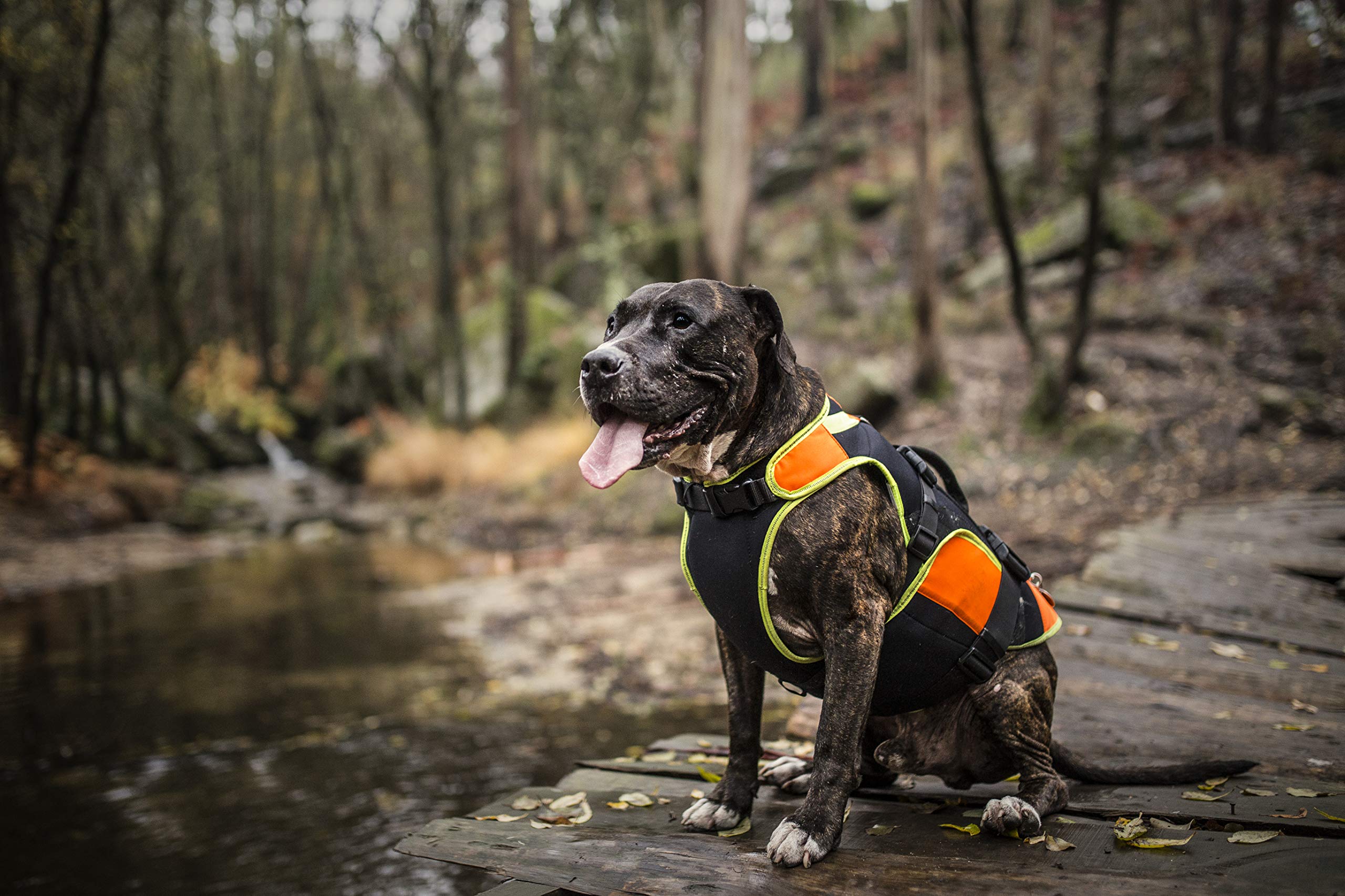 julius-k9-idc-multifunktions-hundeweste-3in1-gr-e-s-schwarz-uv-orange-schwimmhil image 5