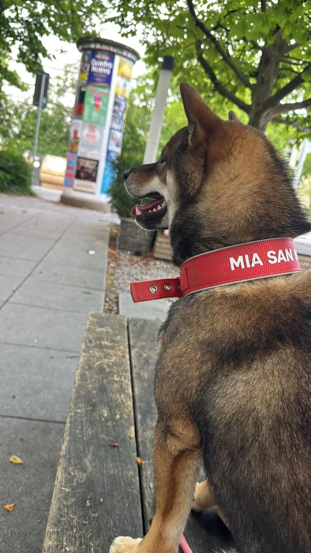 Mia san mia – auch am Hund