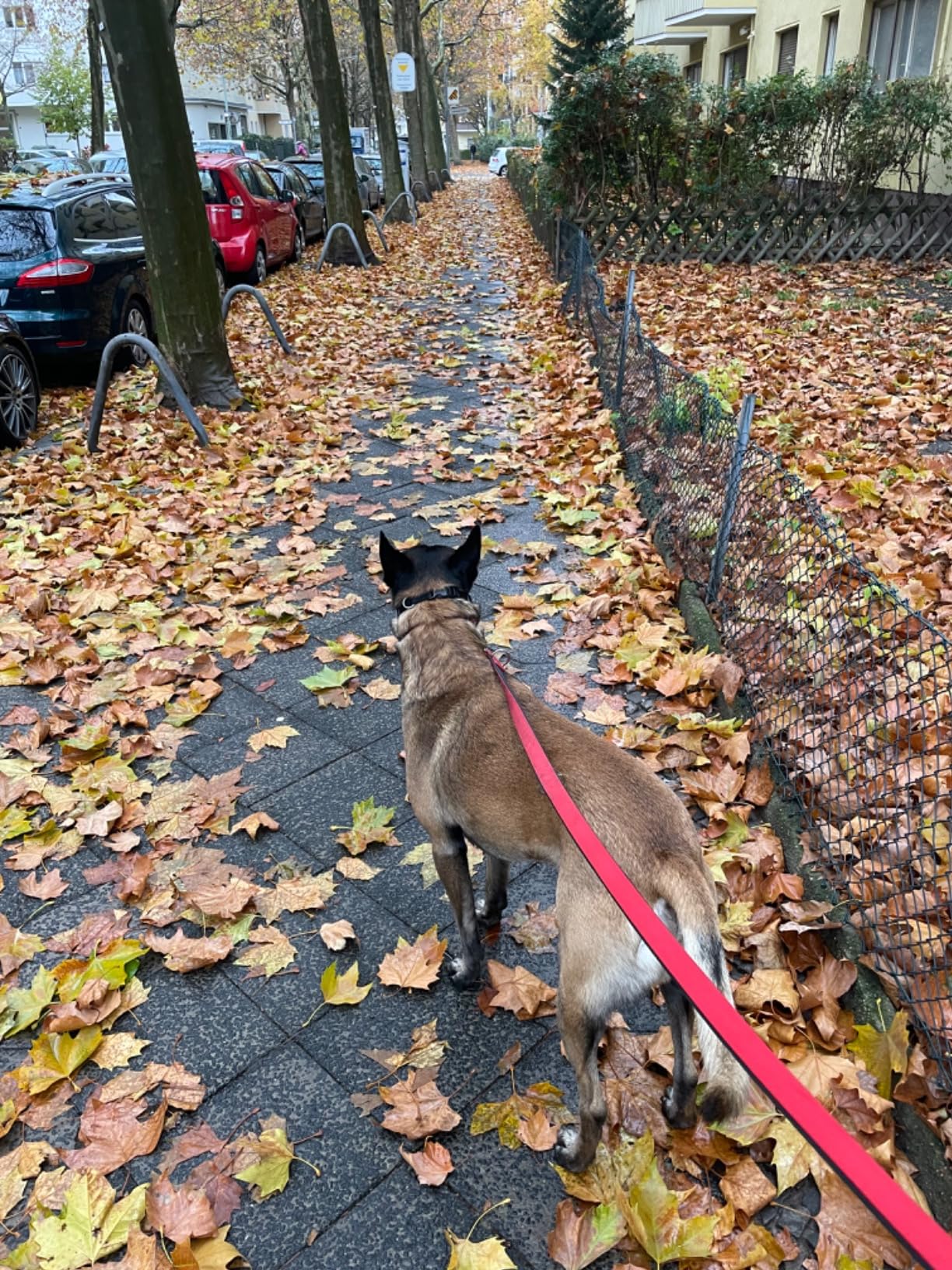Sehr praktisch