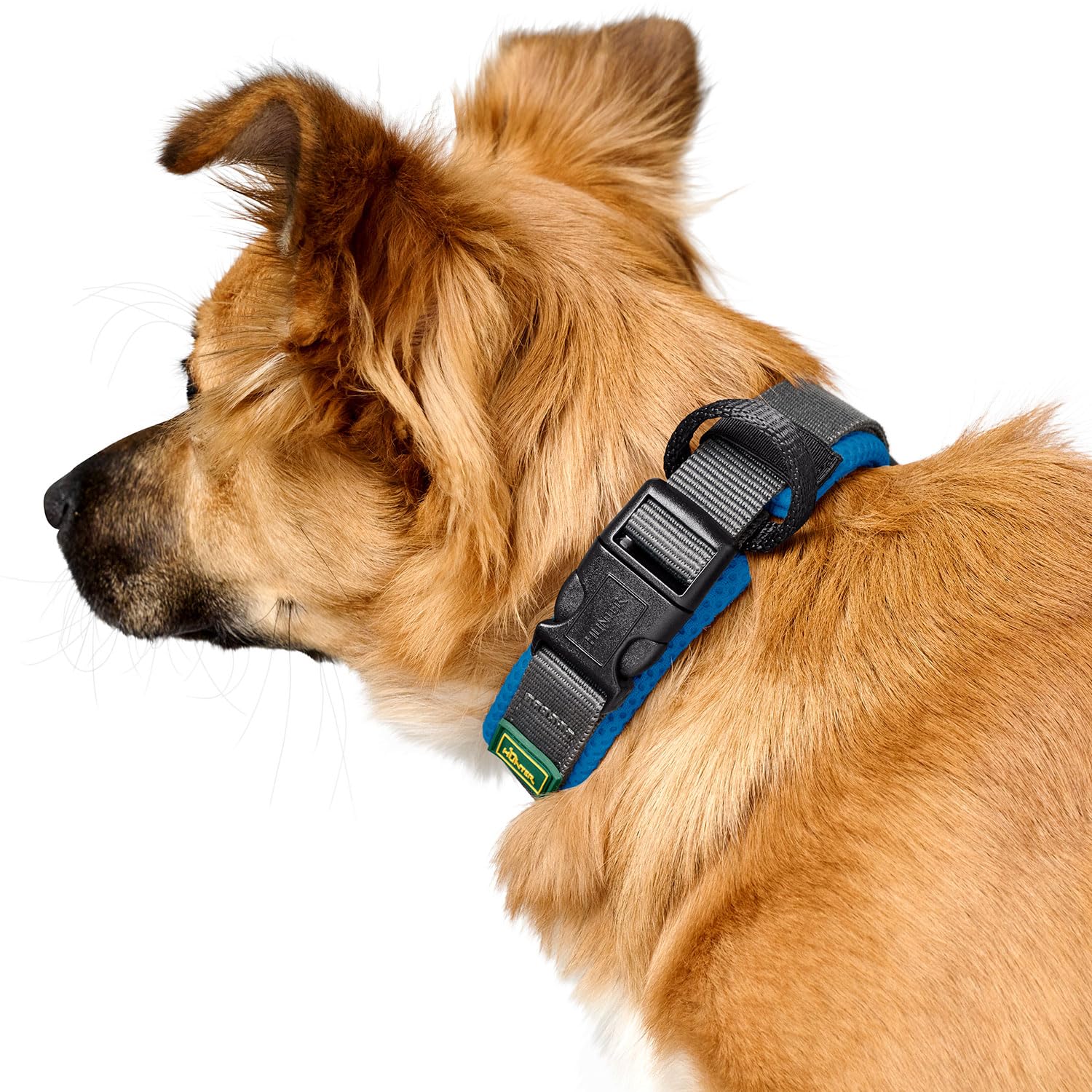 hunter-maldon-hundehalsband-blau-atmungsaktives-mesh-nylon-zugentlastung-adressl image 5