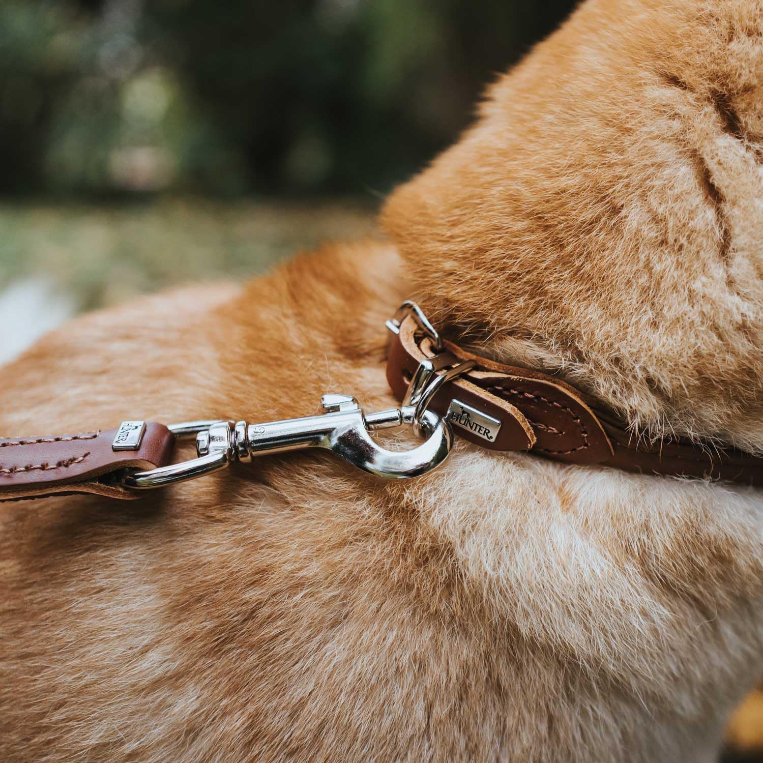hunter-hundehalsband-round-soft-gr-e-35-braun-weiches-rindnappaleder-nyloneinlag image 4