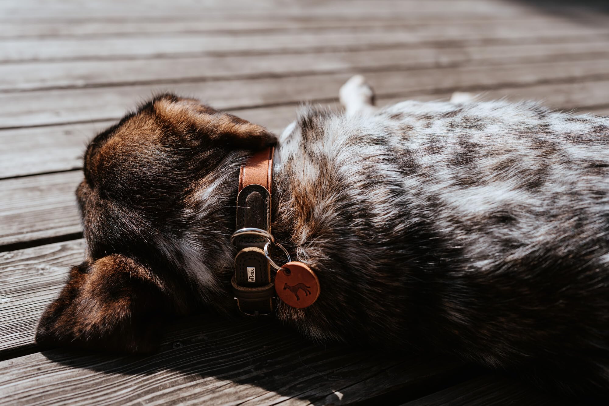 hunter-hundehalsband-lemvig-halsband-aus-weichem-strapazierf-higem-fettleder-cog image 8