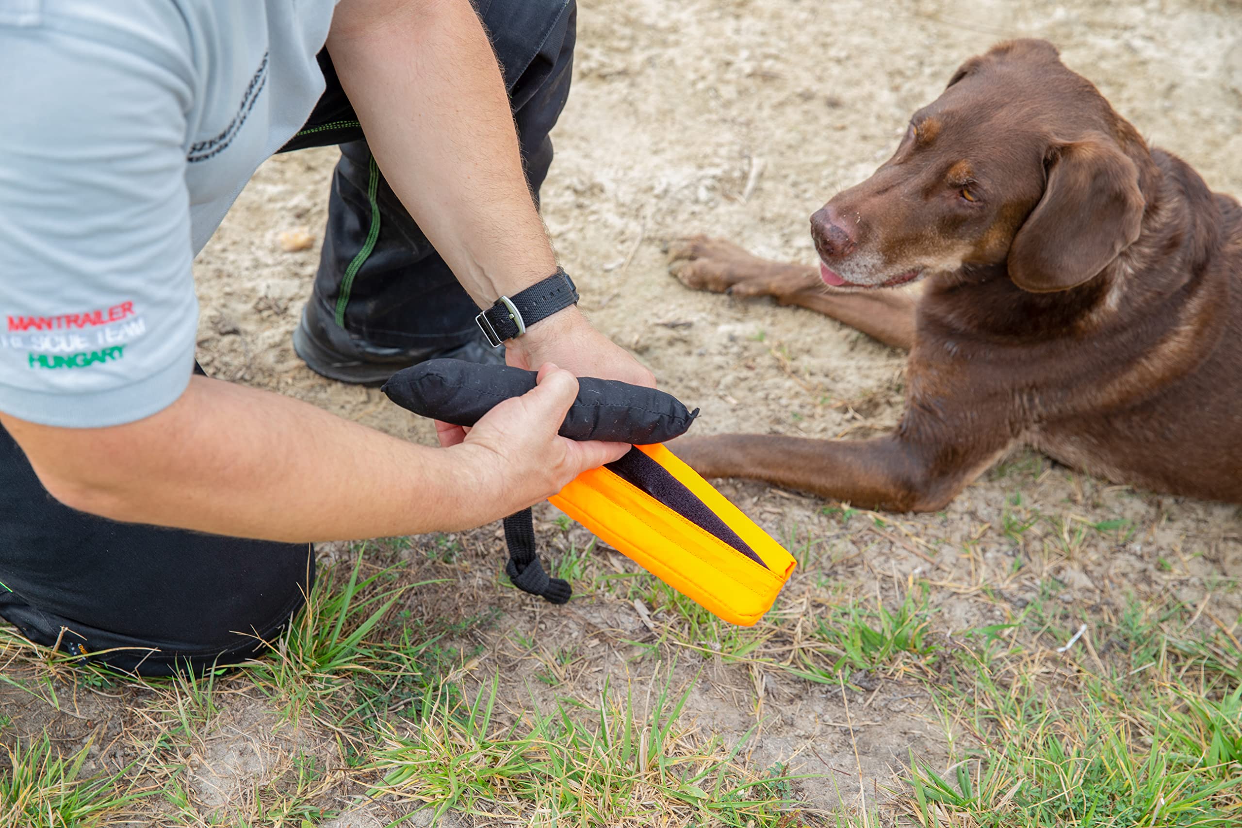 julius-k9-jk9-multidummy-mit-griff-uv-orange-trainings-dummy-zum-bef-llen-schwim image 5