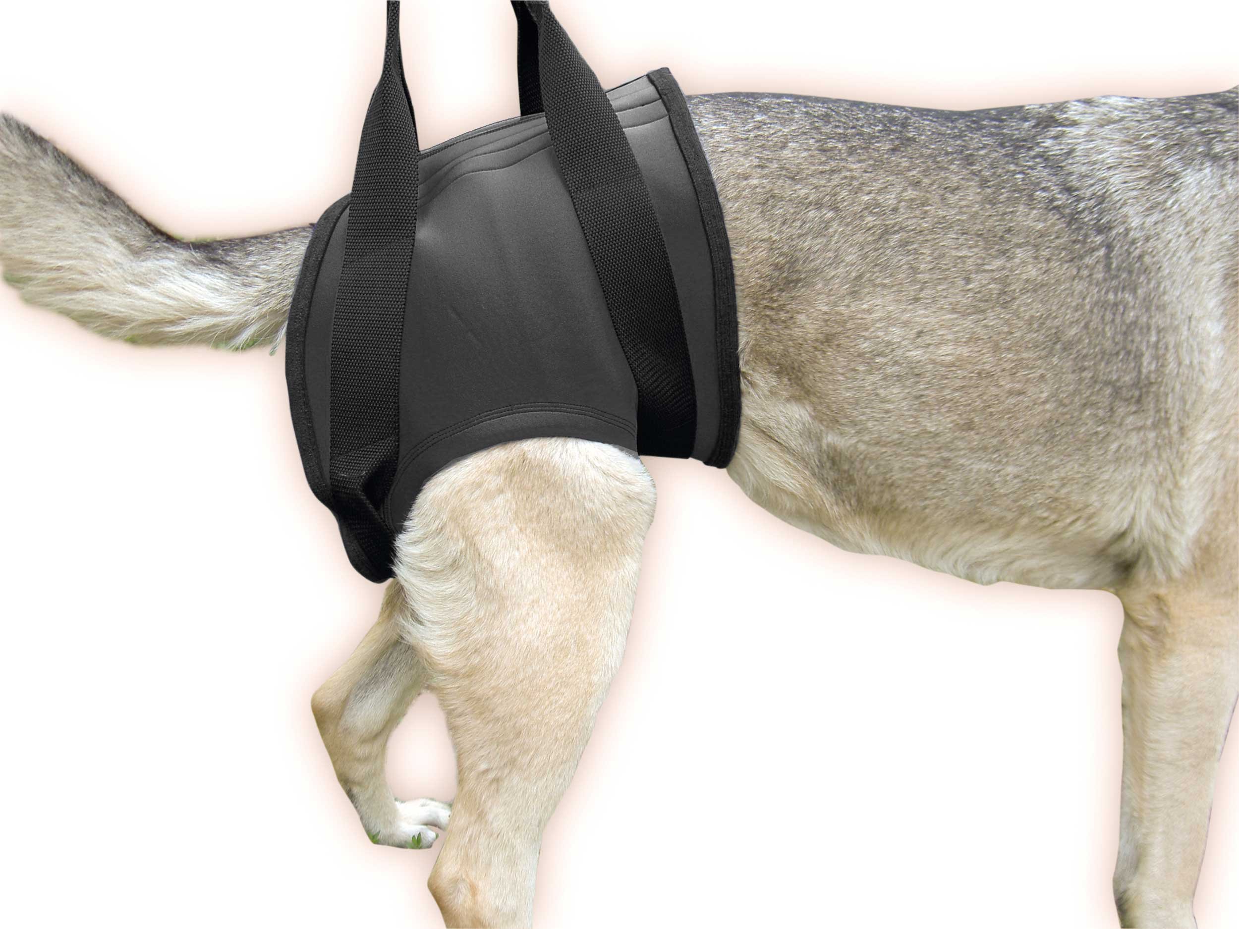 julius-k9-neopren-gehhilfe-geschirr-f-r-hunde-r-ckw-rtige-unterst-tzungshilfe-br image 7