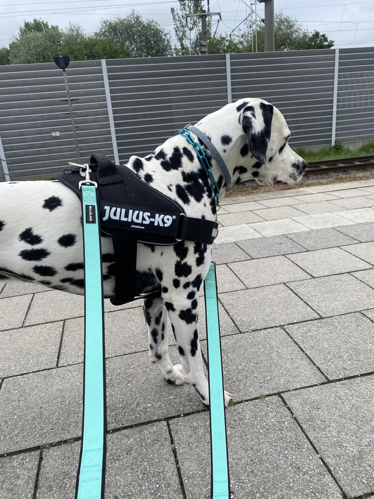 Gut, aber Größenangabe prüfen