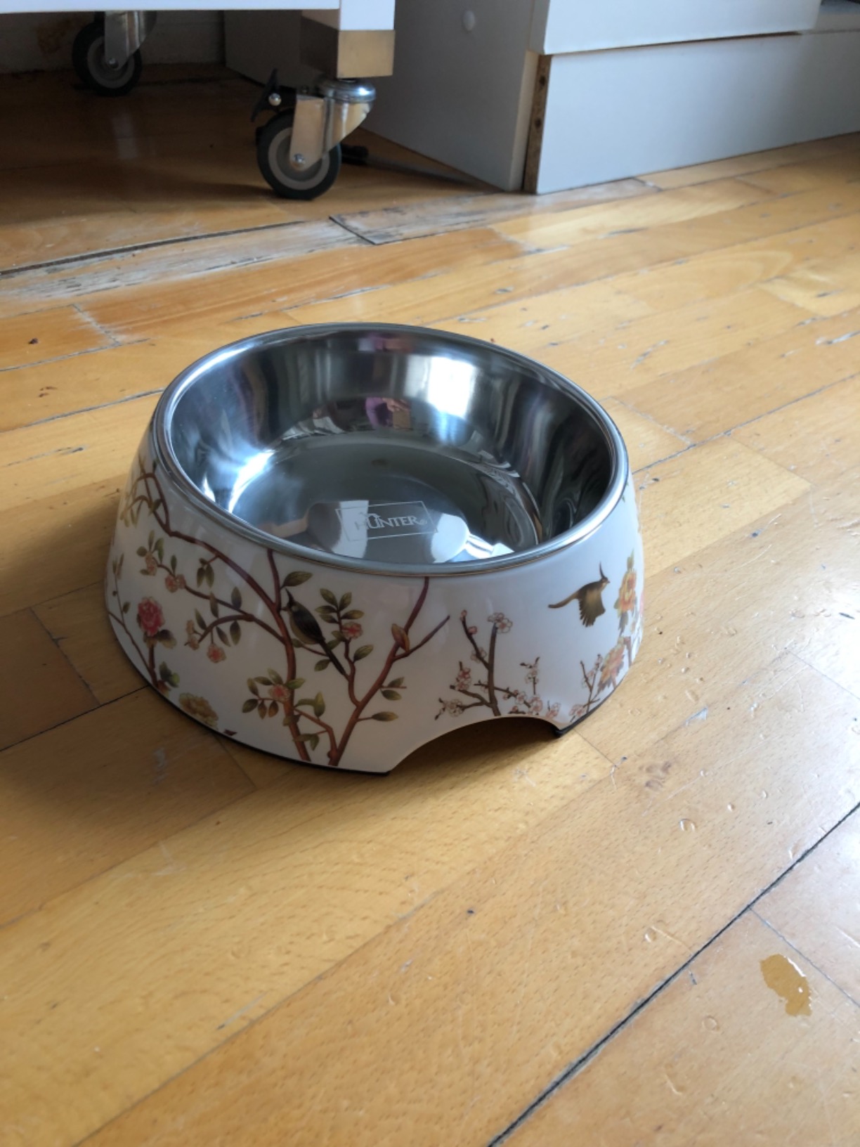 Schöner Napf für unsere Katze