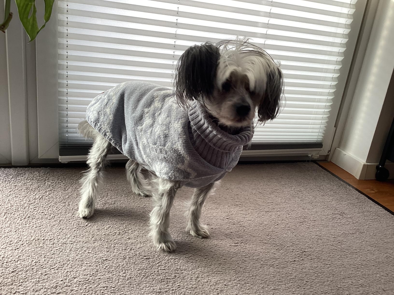 Kuschlig warmer Pullover