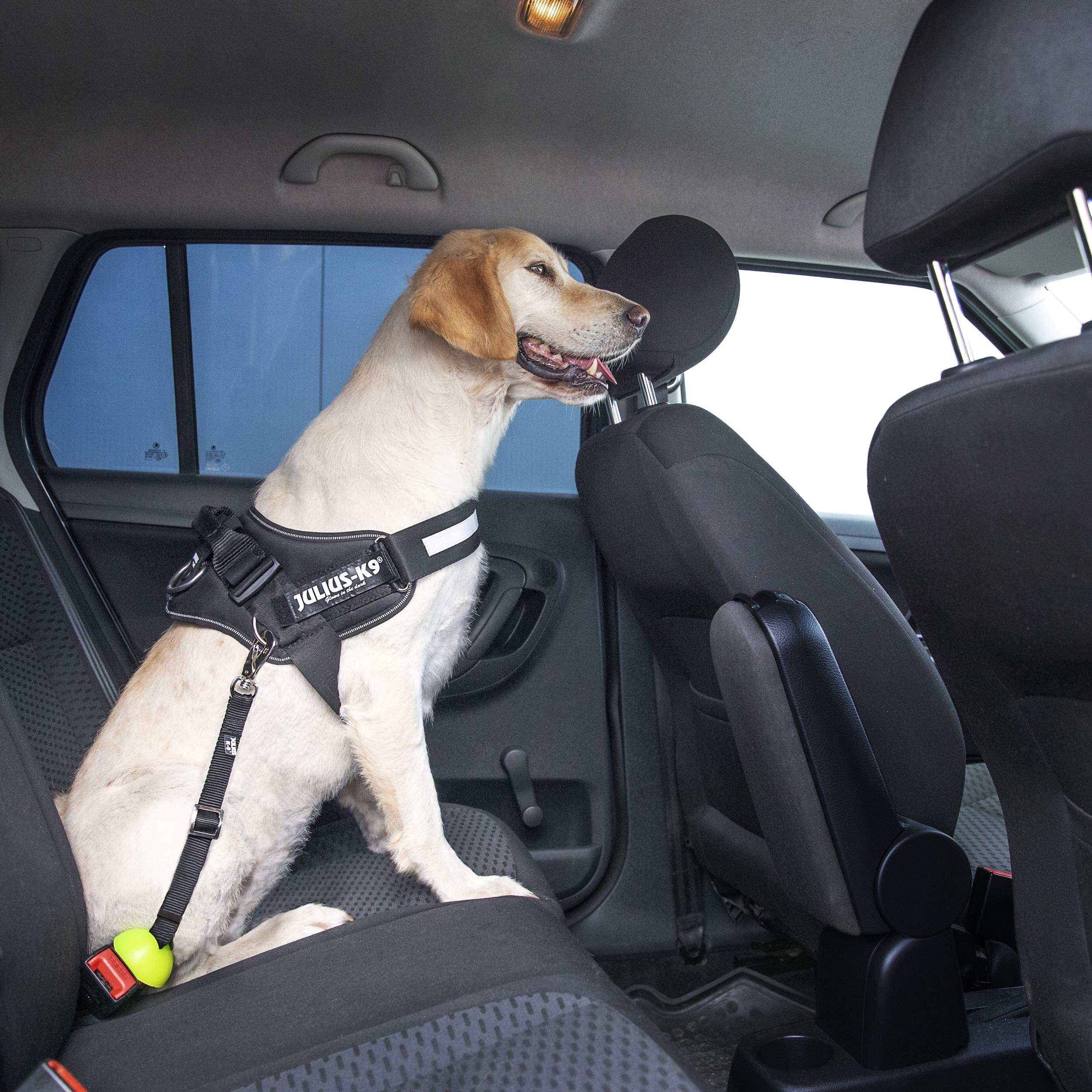 julius-k9-16sd-stopdog-autoleine-sicherheitsgurtadapter-f-r-hunde-300-kg-belastb image 2