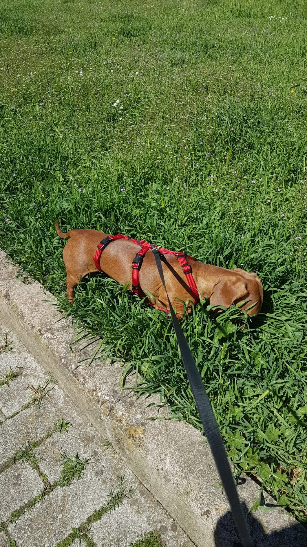 Sehr sicher, etwas aufwendig
