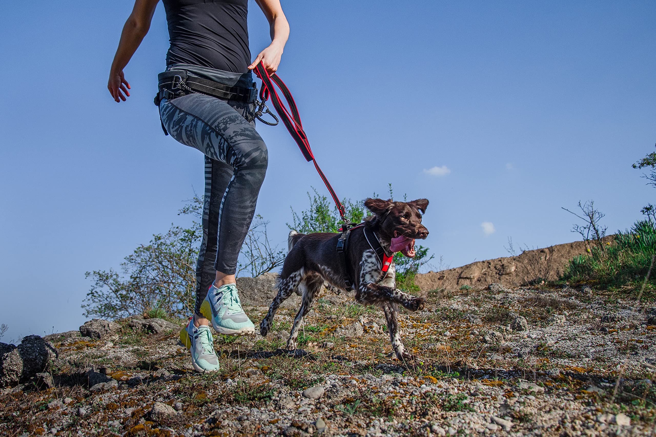julius-k9-speed-hundegeschirr-sportliches-brustgeschirr-mit-griff-und-reflektore image 7