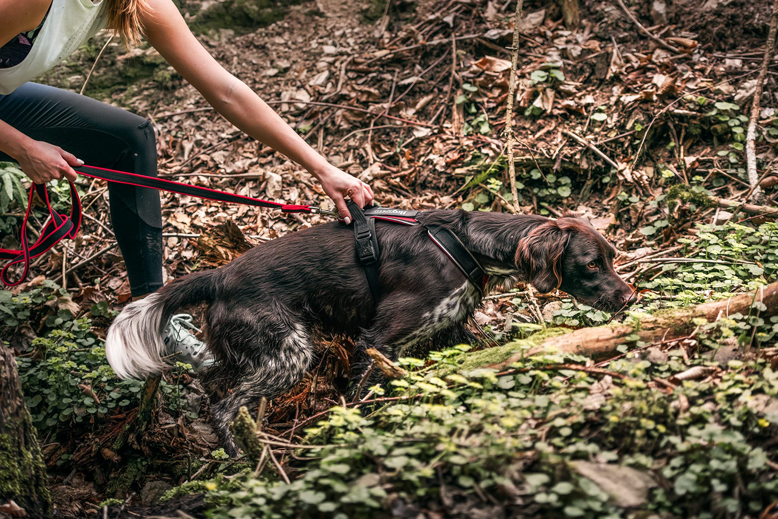 julius-k9-speed-hundegeschirr-sportliches-brustgeschirr-mit-griff-und-reflektore image 6