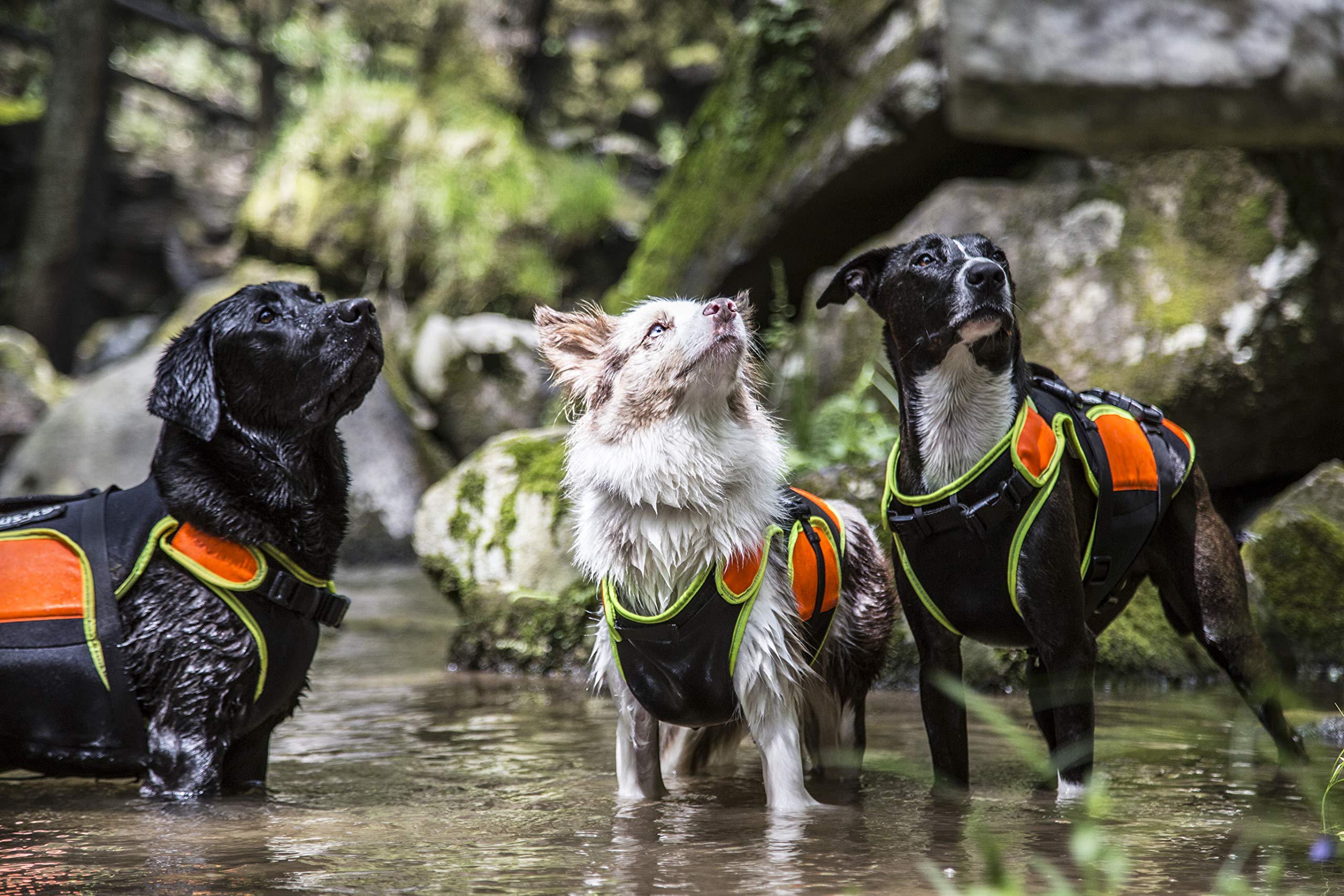 julius-k9-idc-multifunktions-hundeweste-3in1-gr-e-s-schwarz-uv-orange-schwimmhil image 6