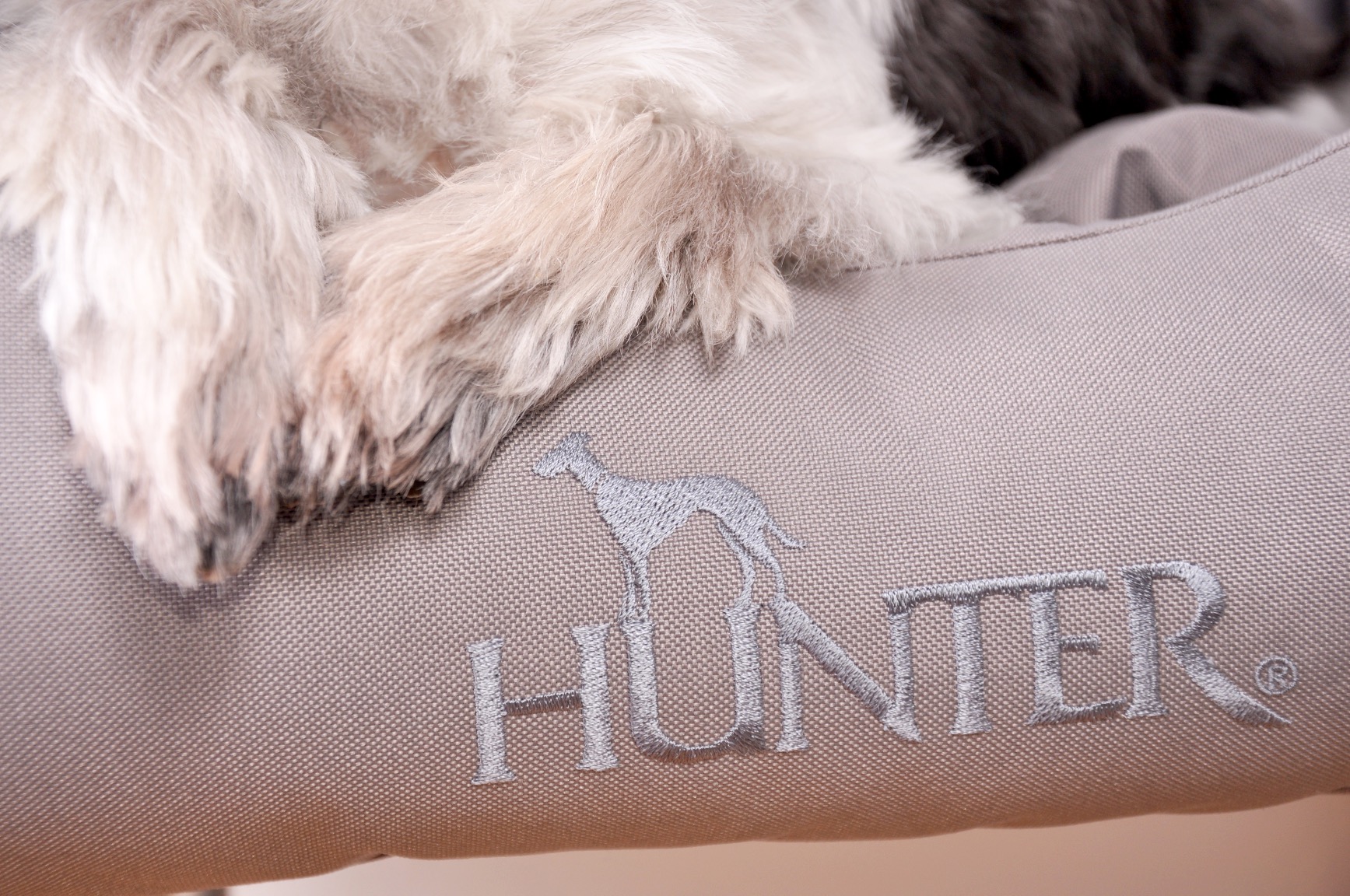 Gutes Hundebett für drinnen und draußen