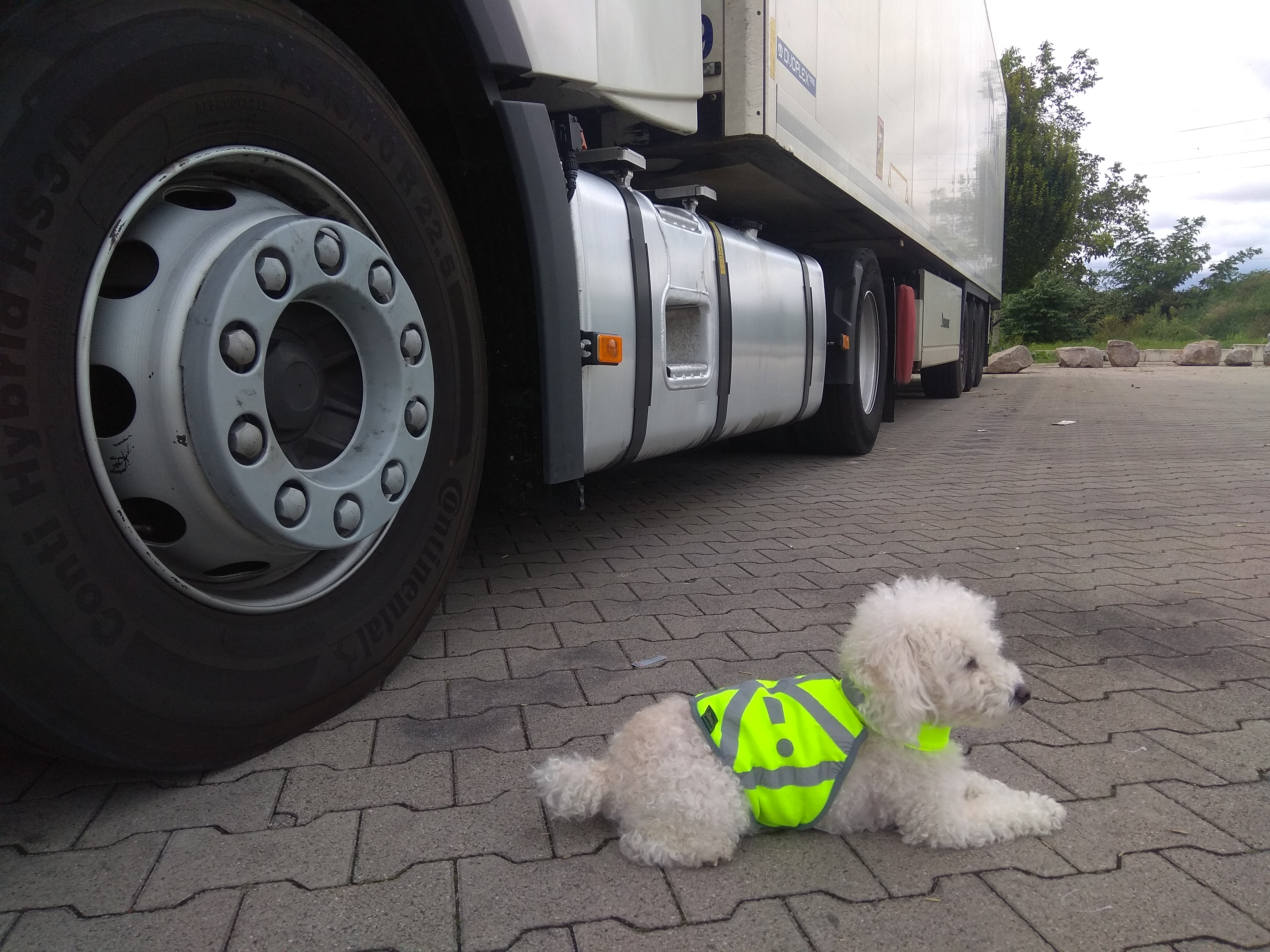 Man sieht ihn von weitem