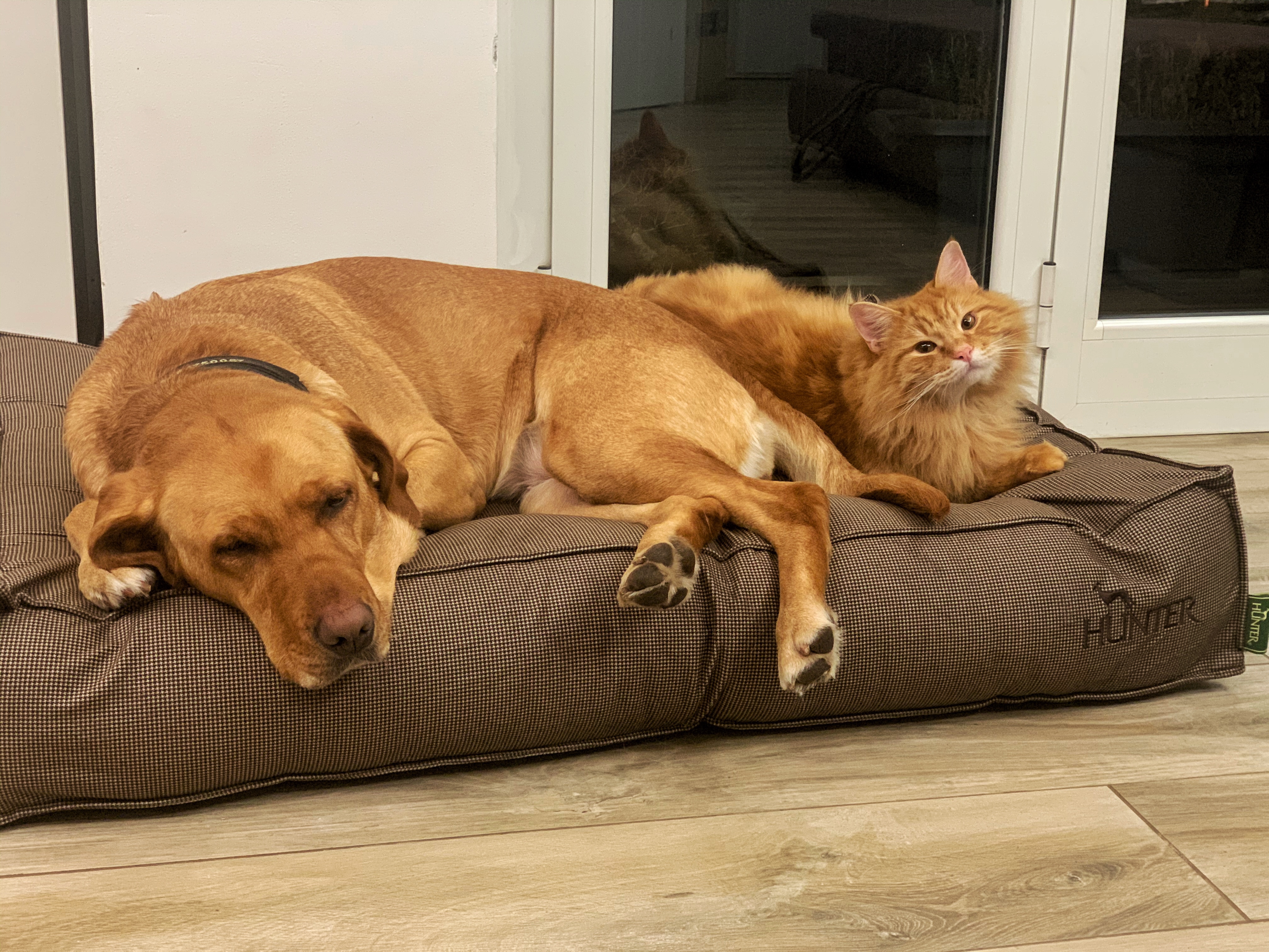 Gutes Bett, Pflegeleicht