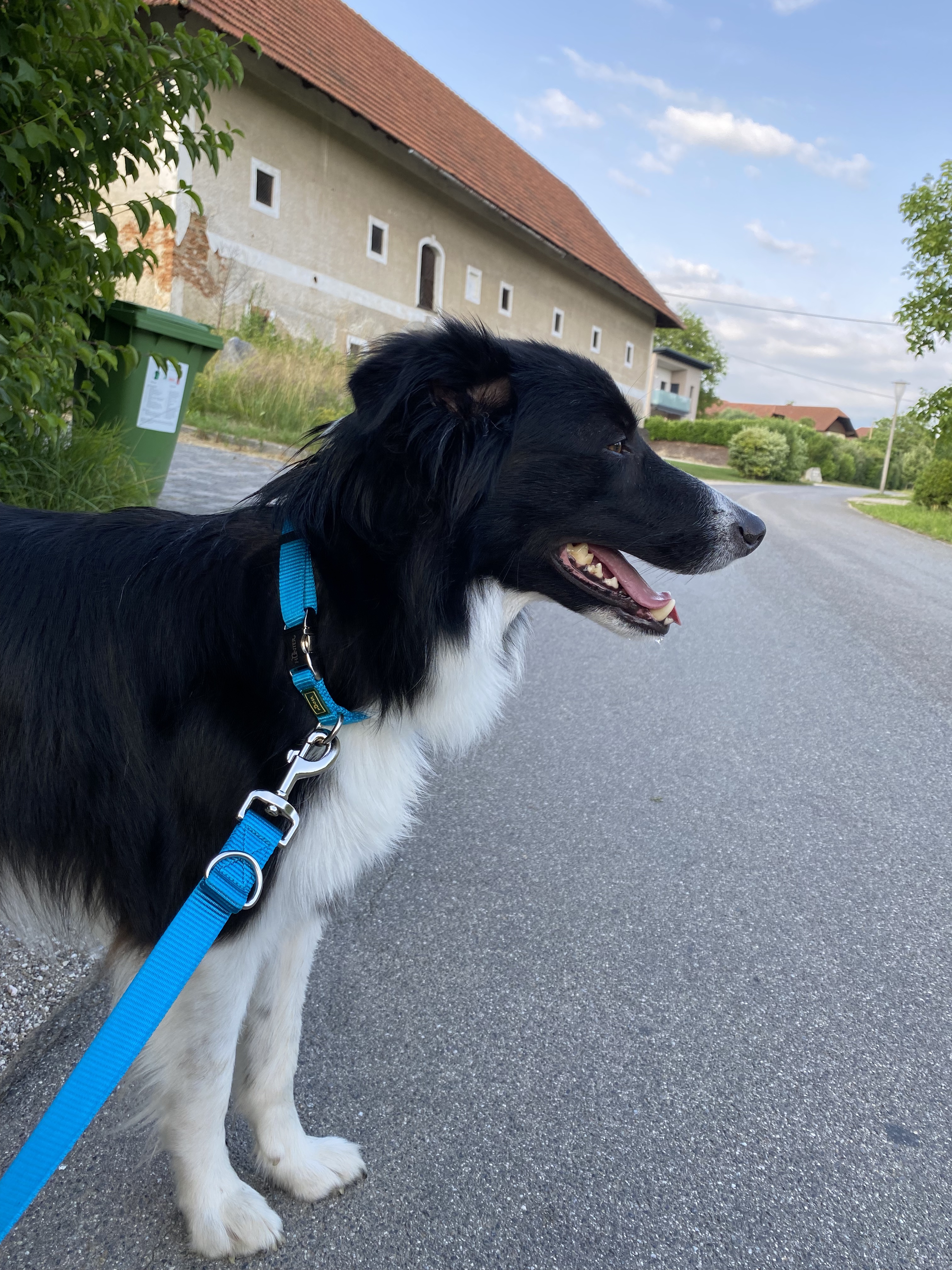 Nichts Besonderes